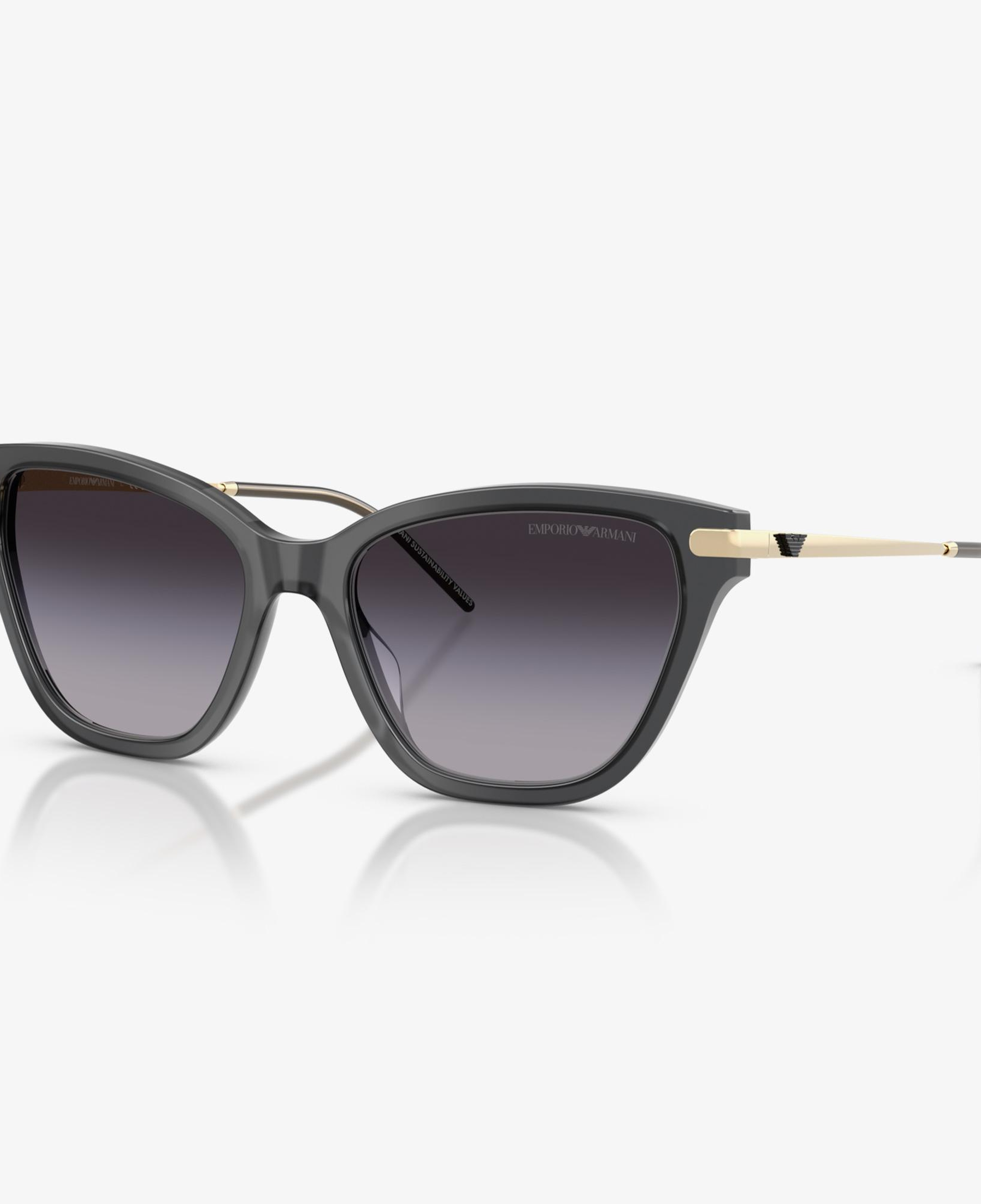 Emporio Armani EA4251 Kadın Siyah Güneş Gözlüğü