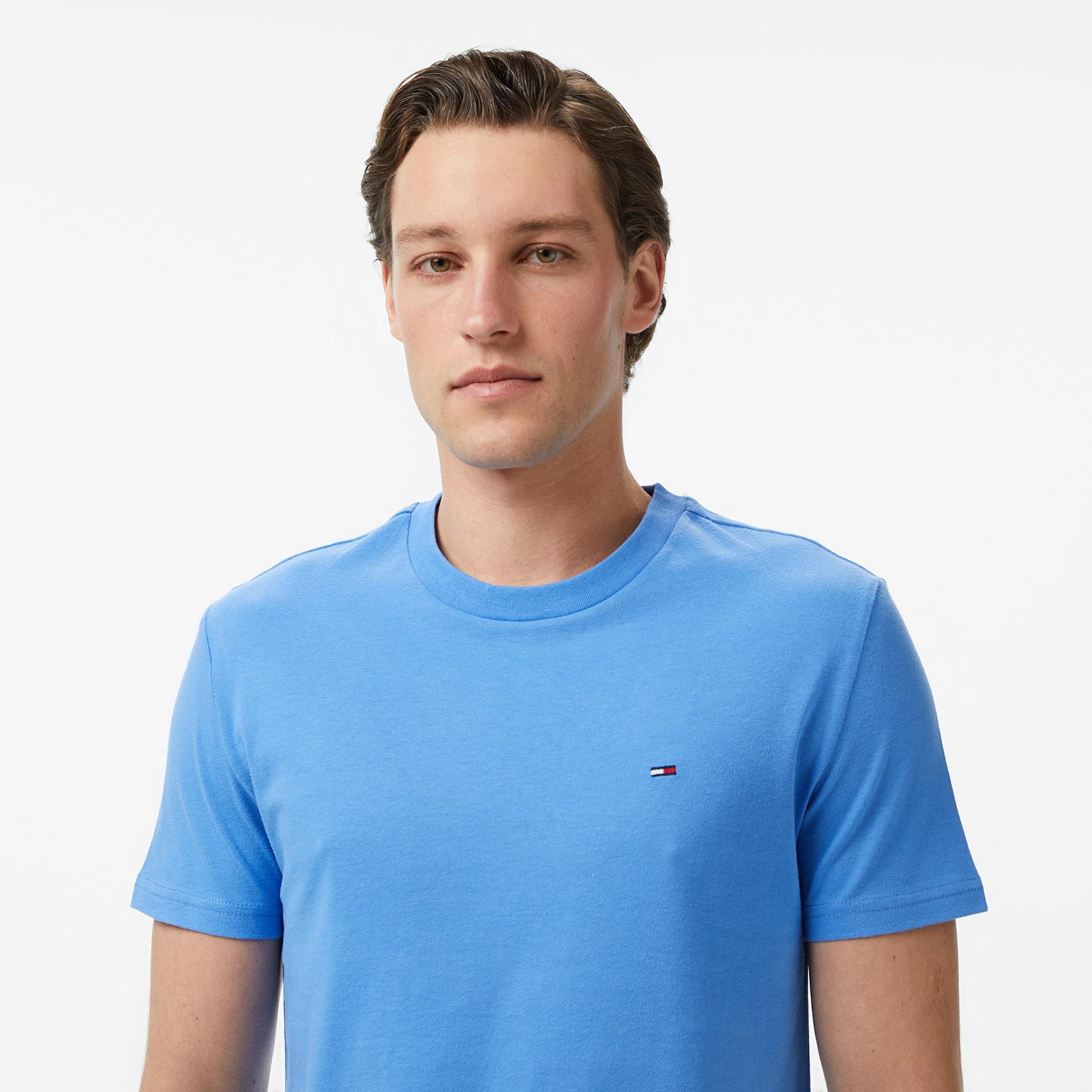 Tommy Hilfiger Classic Flag Erkek Renkli T-Shirt