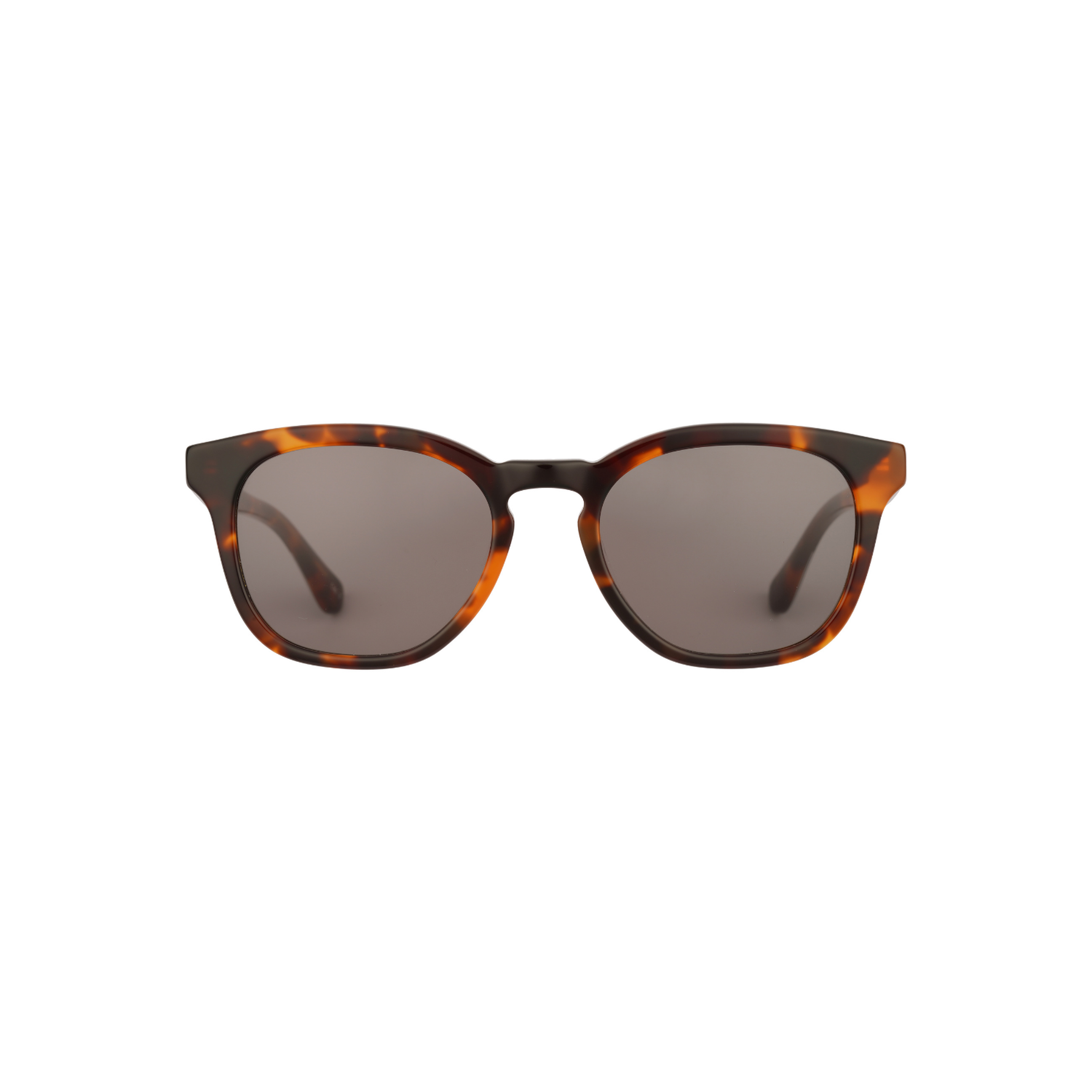 Barbour BA8108 Güneş Gözlüğü