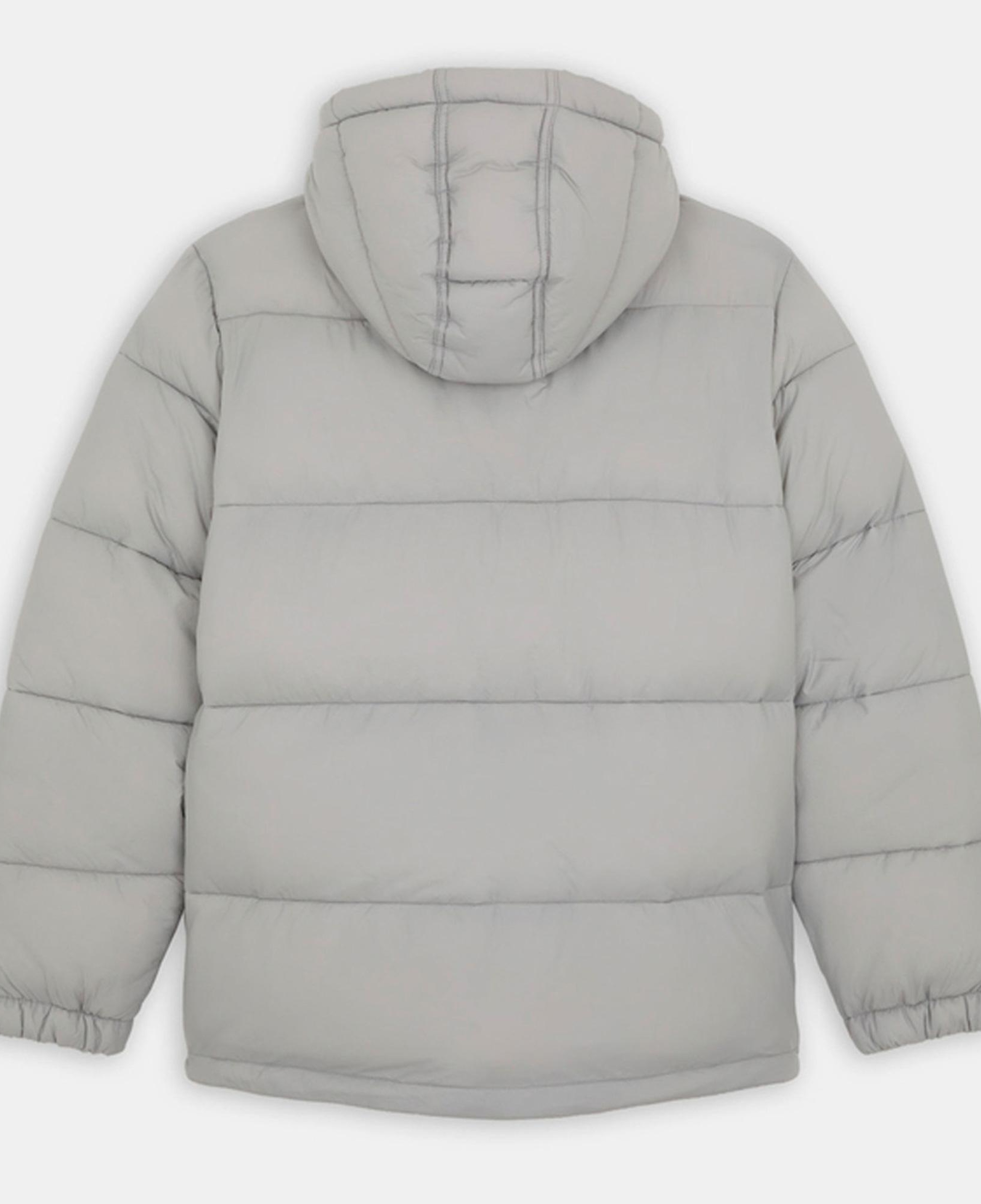 Dickies Waldenburg Hooded Erkek Gri Mont