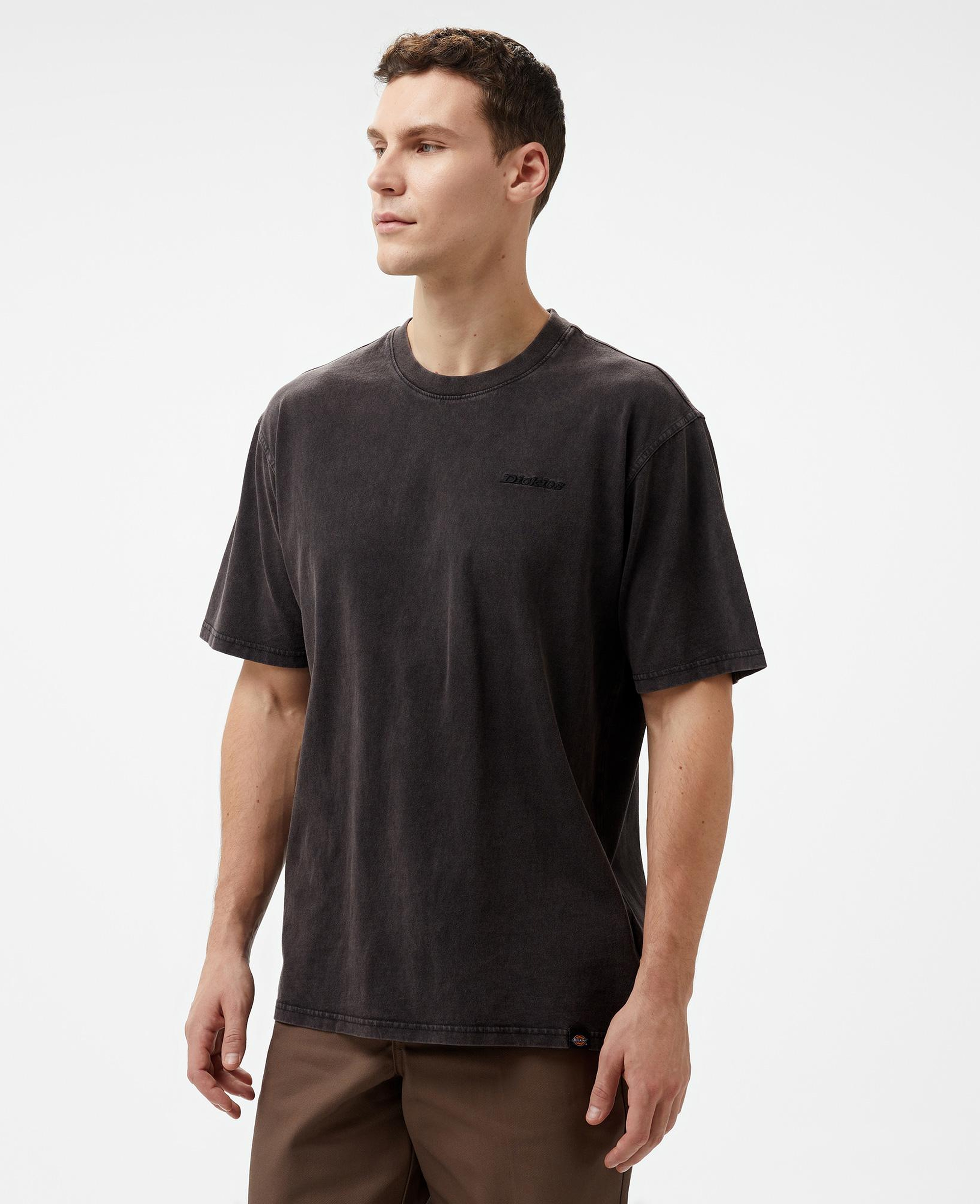 Dickies Plentywood Erkek Siyah T-Shirt