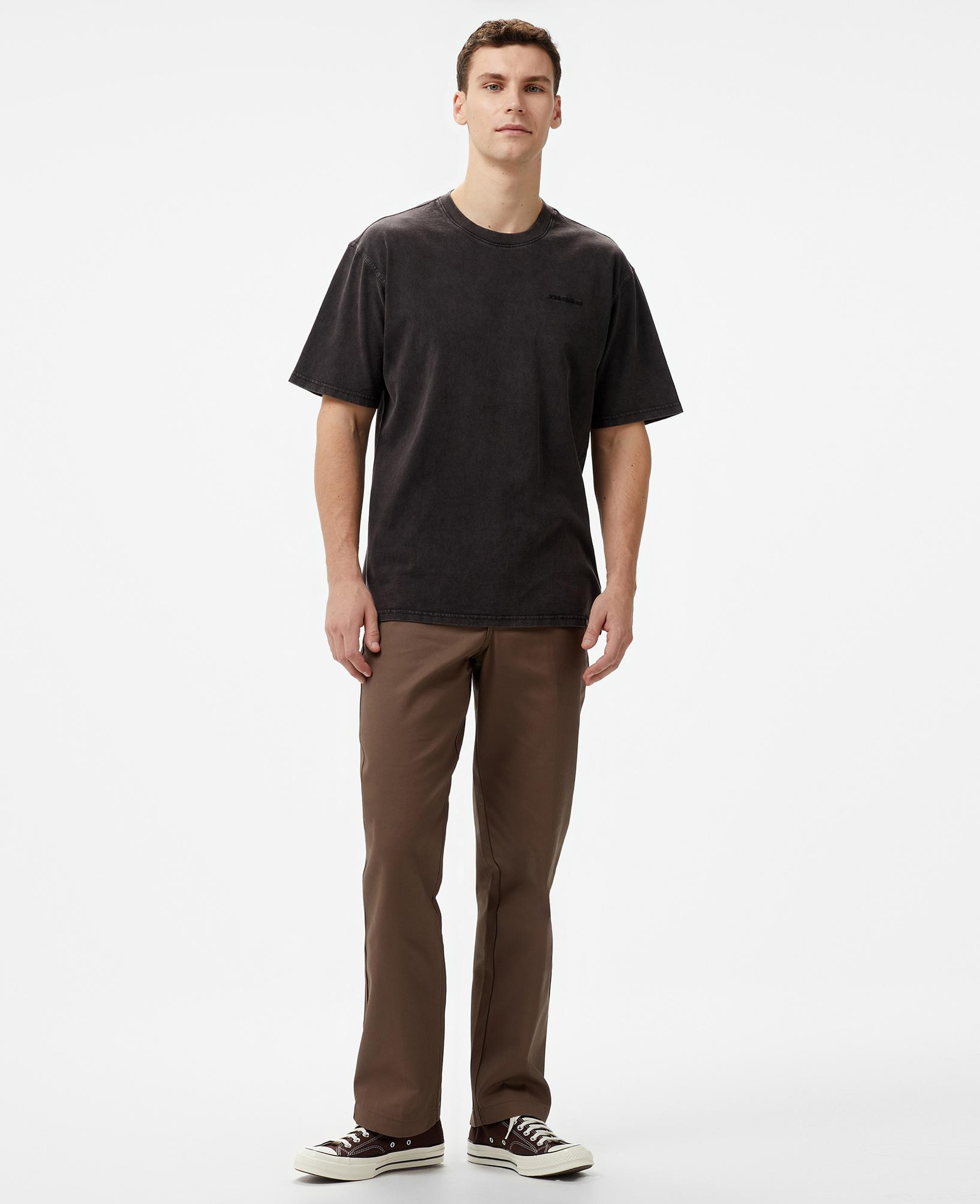 Dickies Plentywood Erkek Siyah T-Shirt