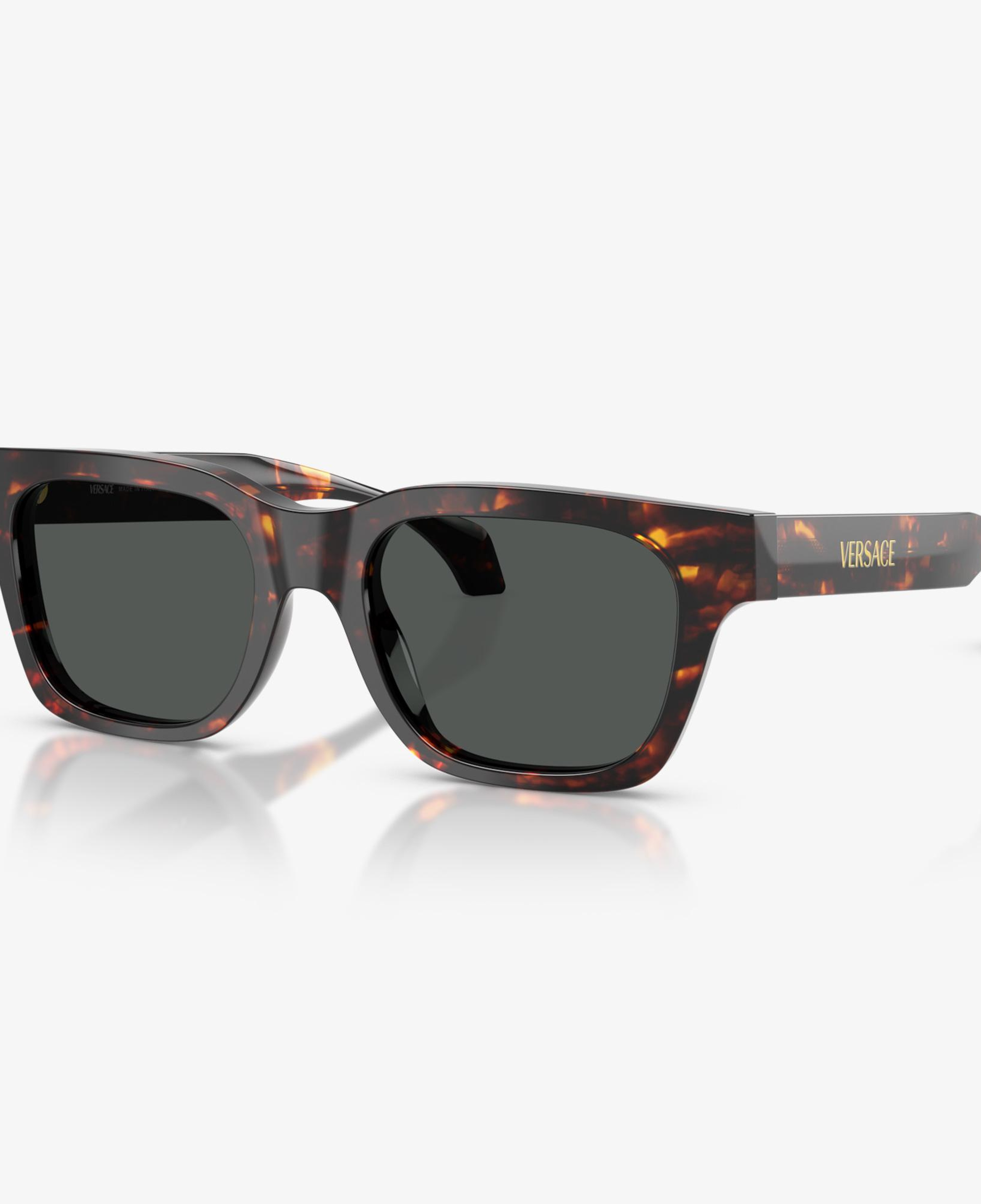 Versace VE4486 Erkek Kahverengi Güneş Gözlüğü
