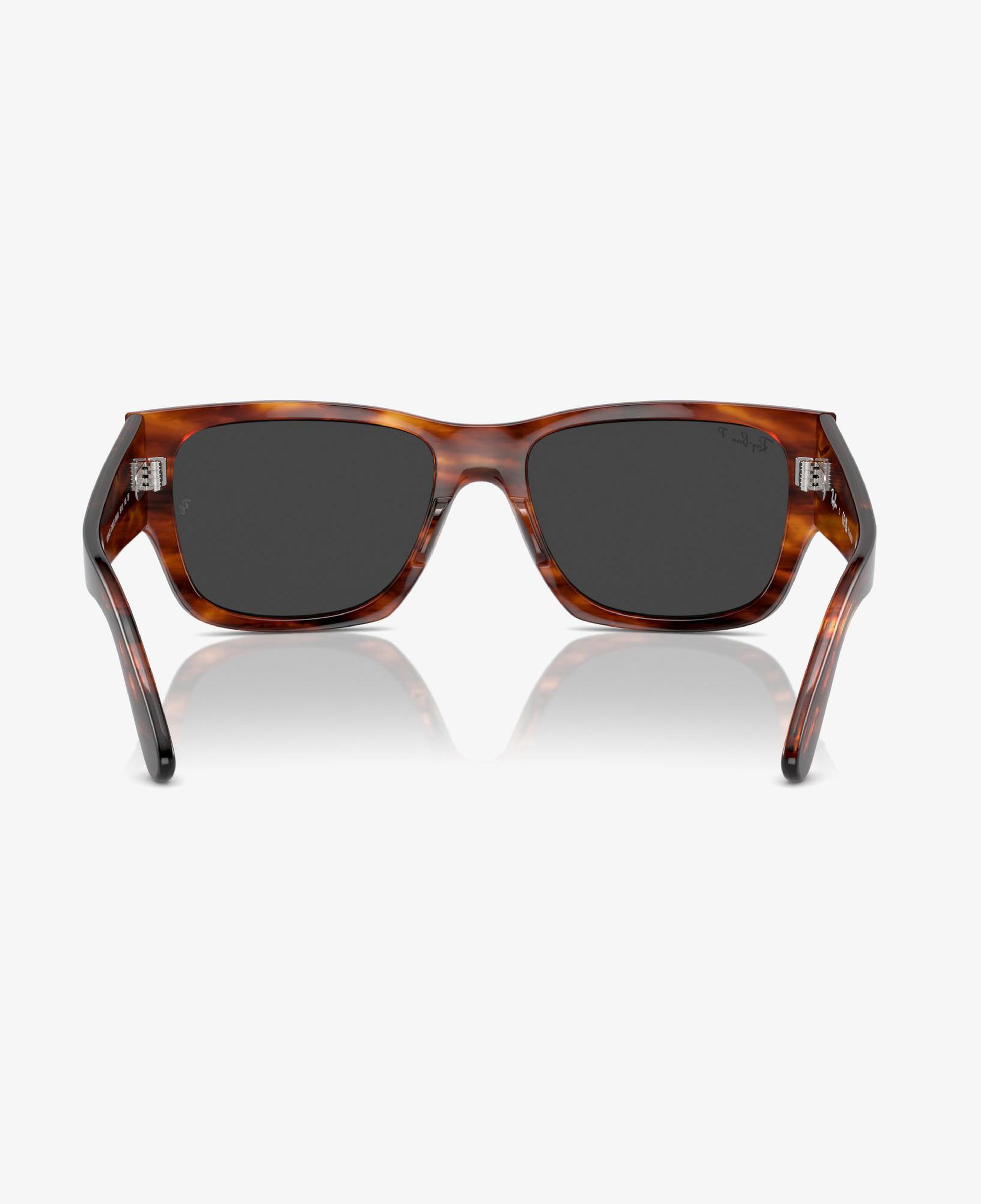 RAY-BAN Carlos Unisex Kahverengi Güneş Gözlüğü