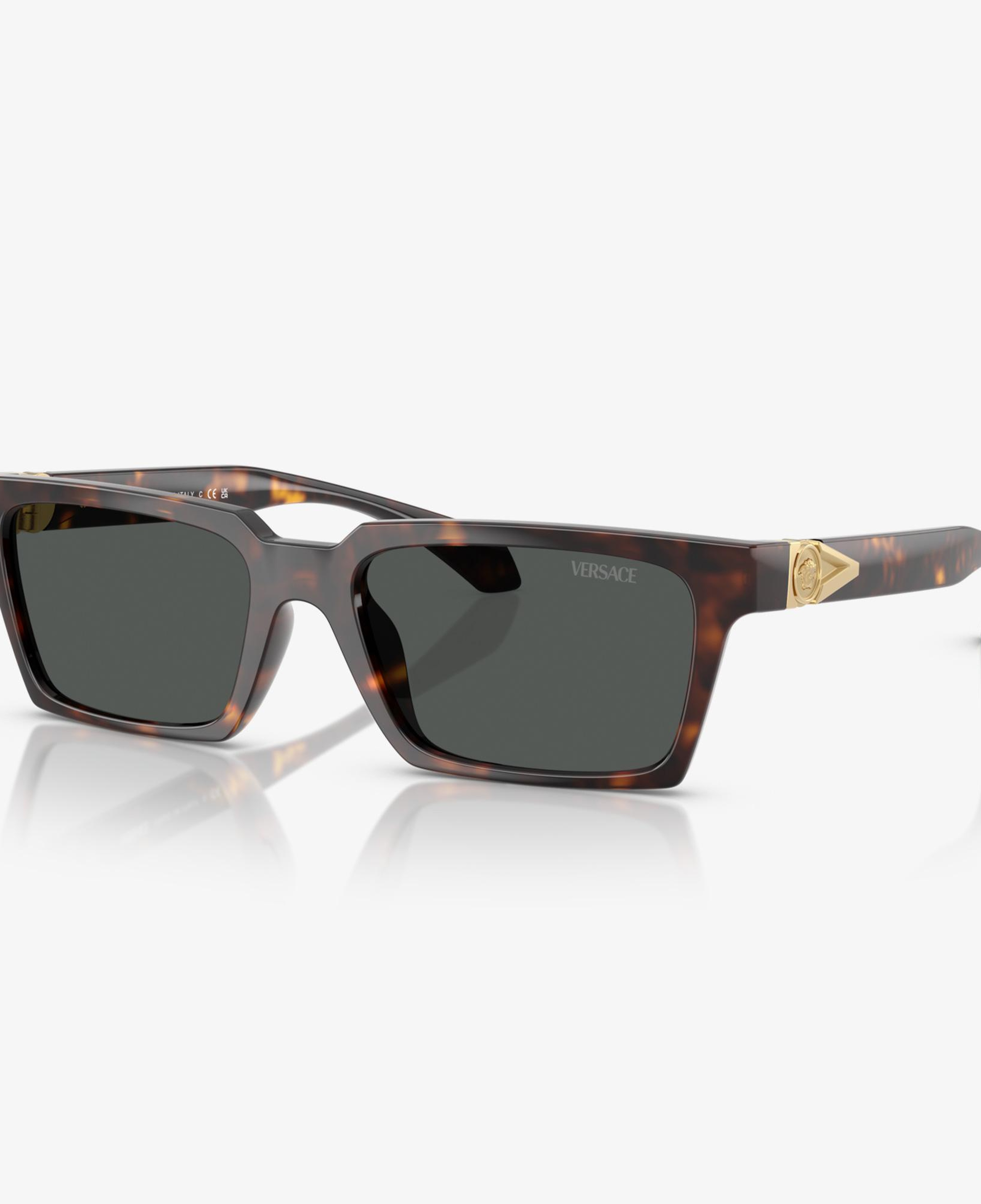 Versace VE4490U Erkek Kahverengi Güneş Gözlüğü