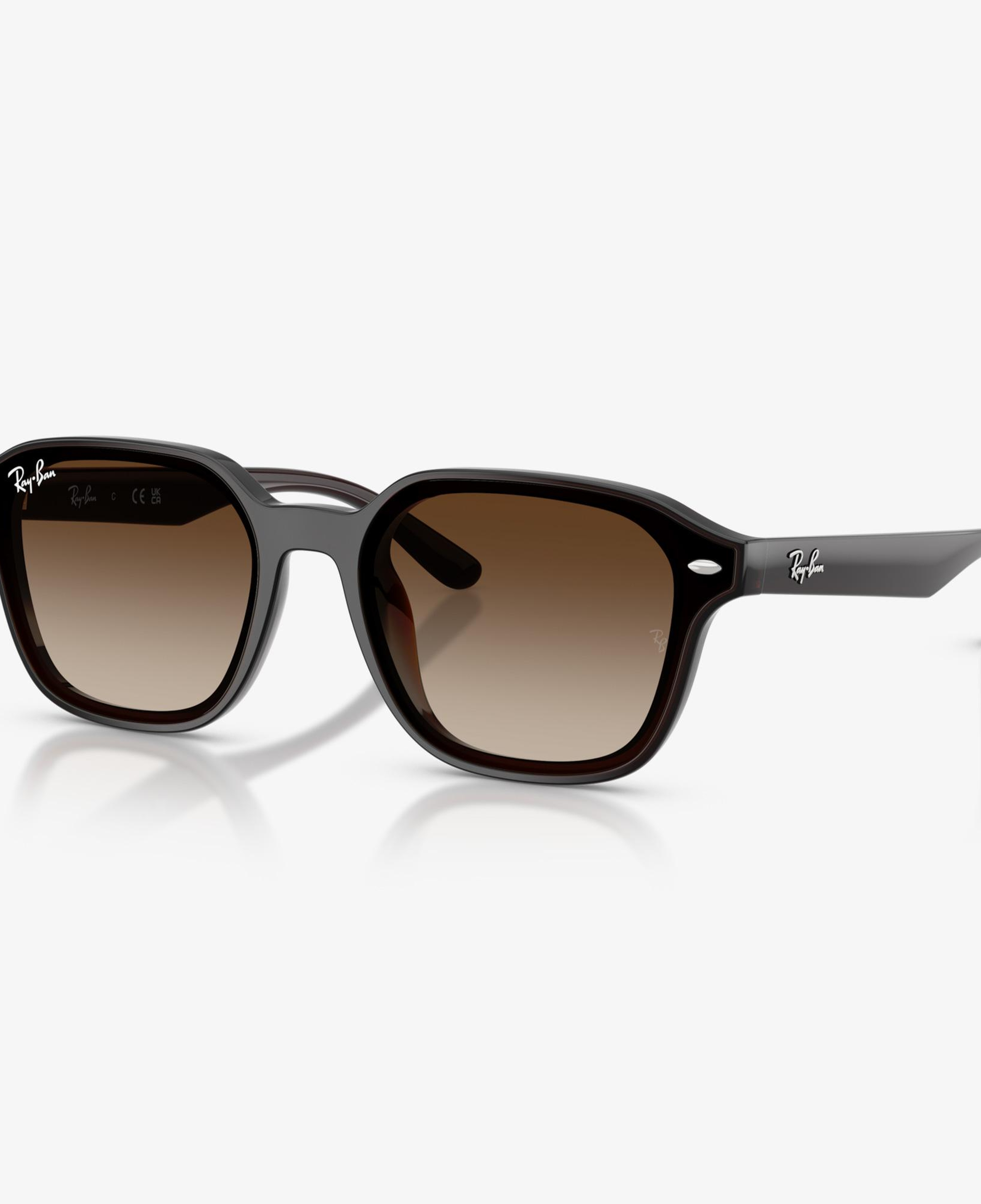 Ray-Ban RB4458D Unisex Kahverengi Güneş Gözlüğü