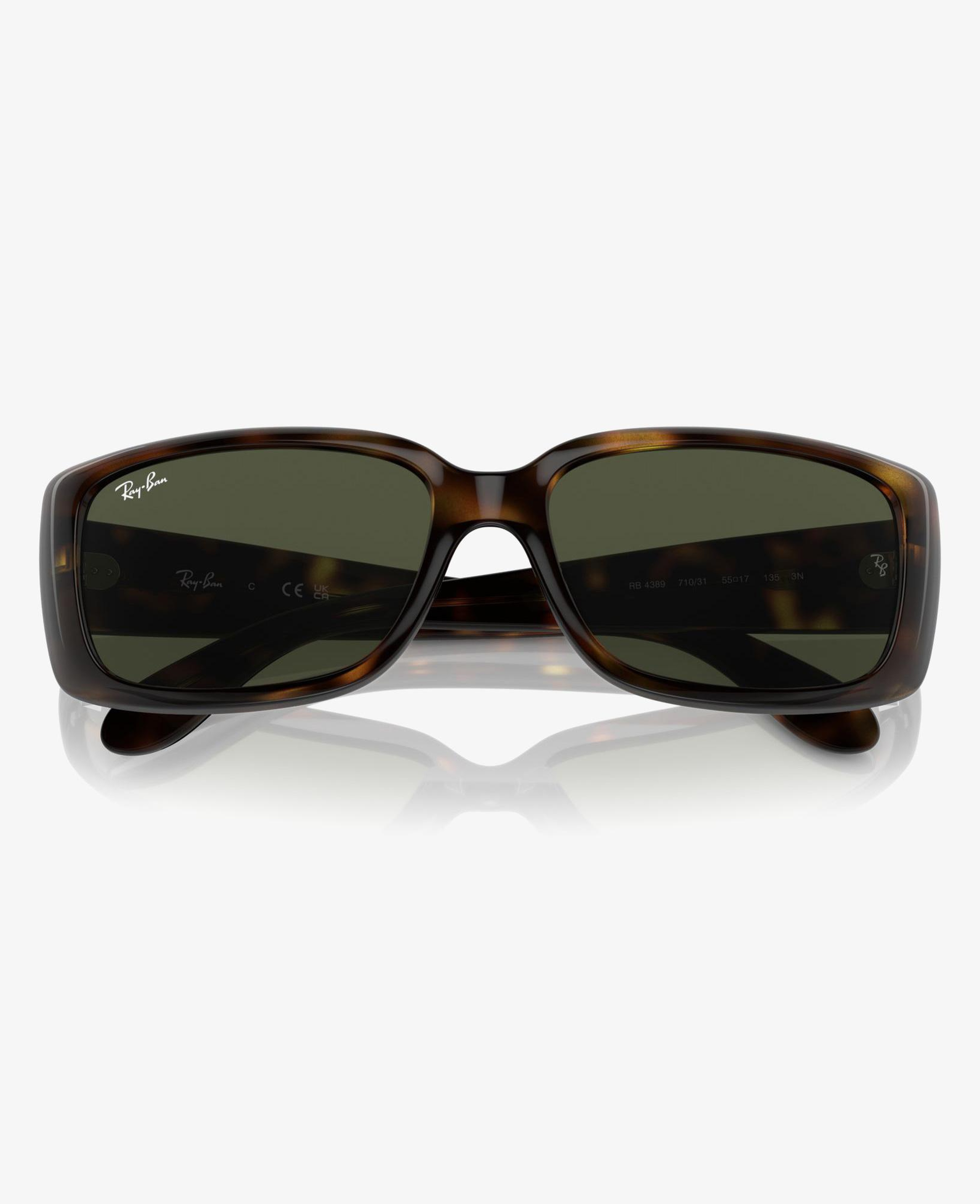 RAY-BAN 0RB4389 Kadın Kahverengi Güneş Gözlüğü