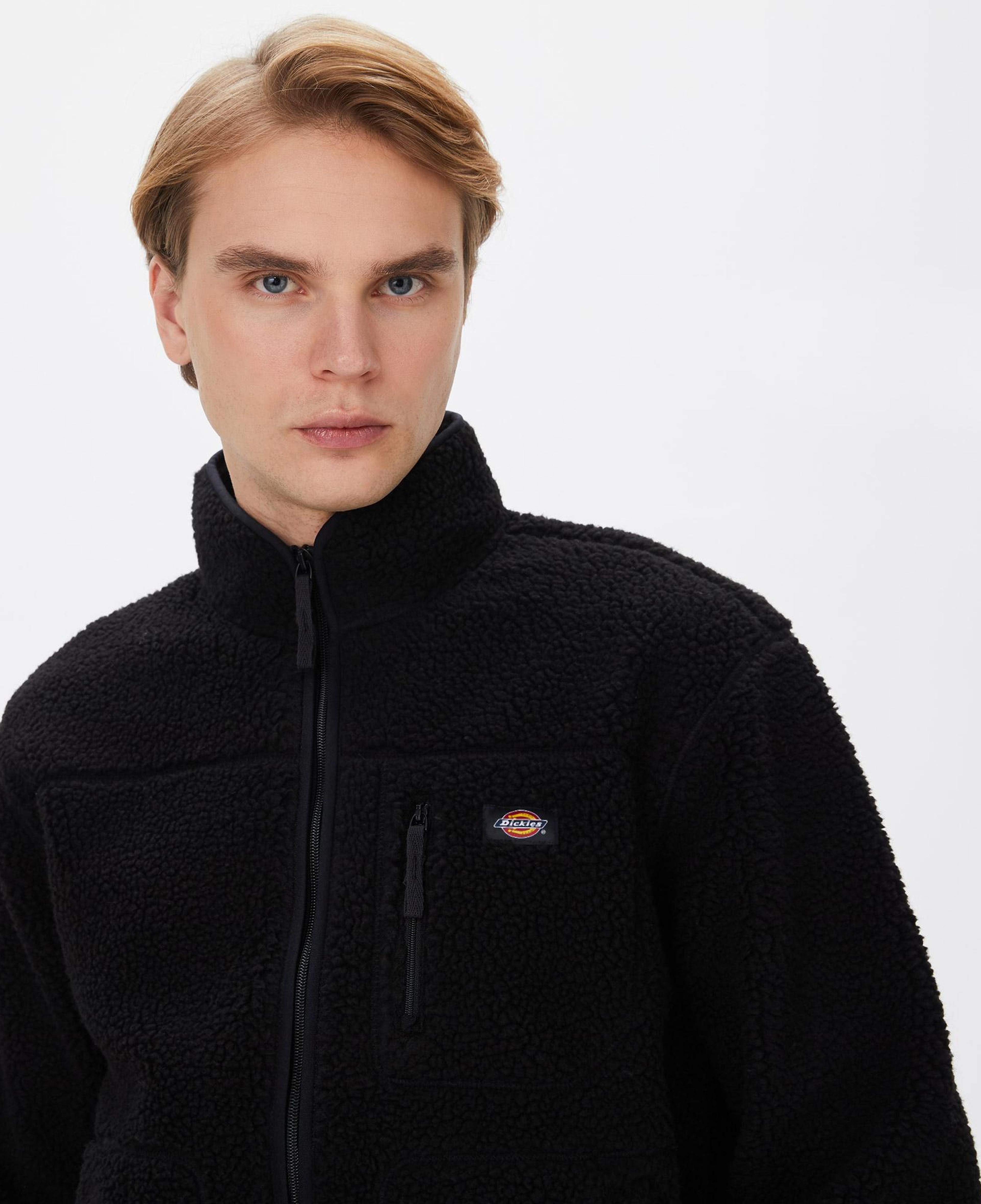 Dickies Mount Hope Erkek Siyah Sweatshirt
