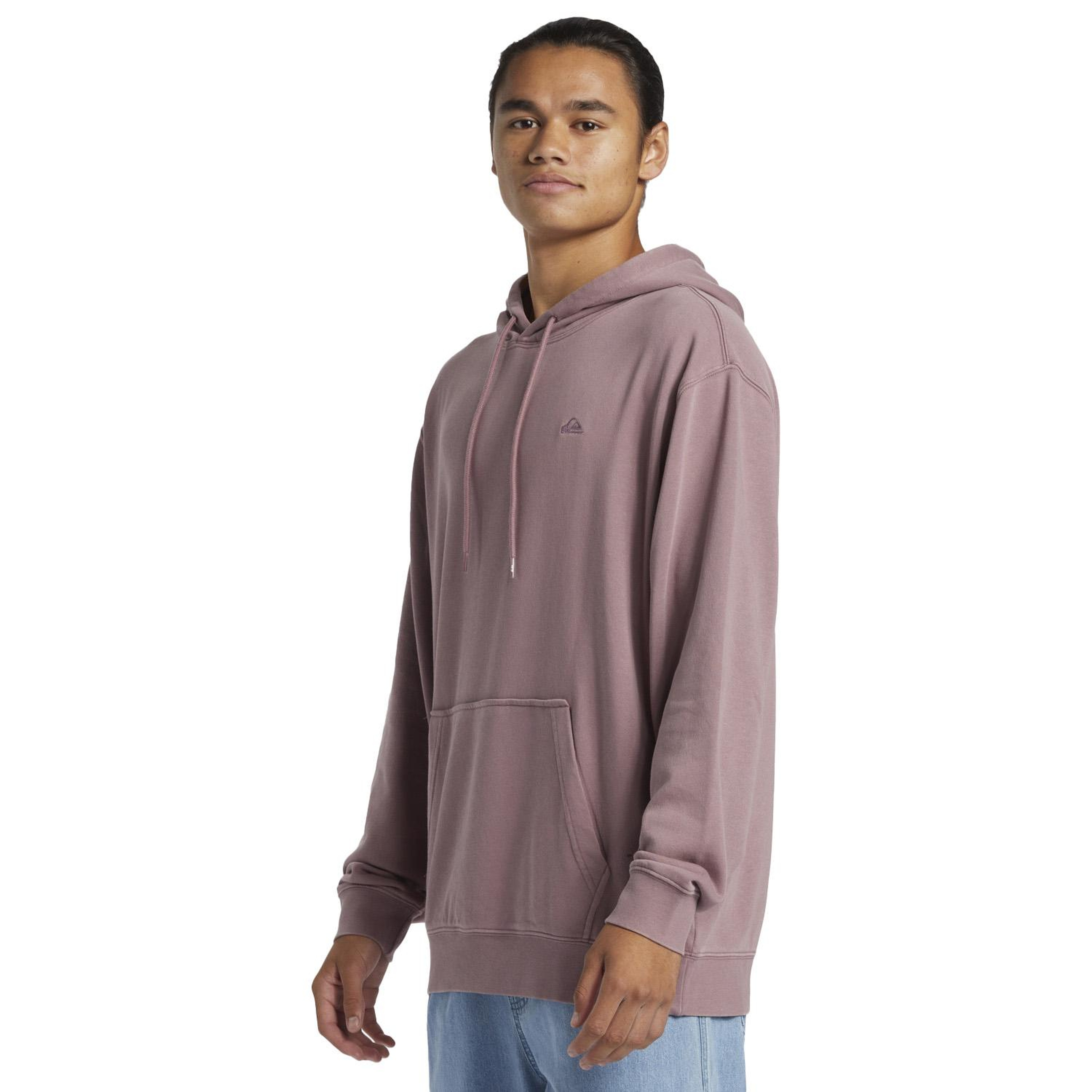 Quiksilver Salt Water Hoodie Erkek Sweatshirt