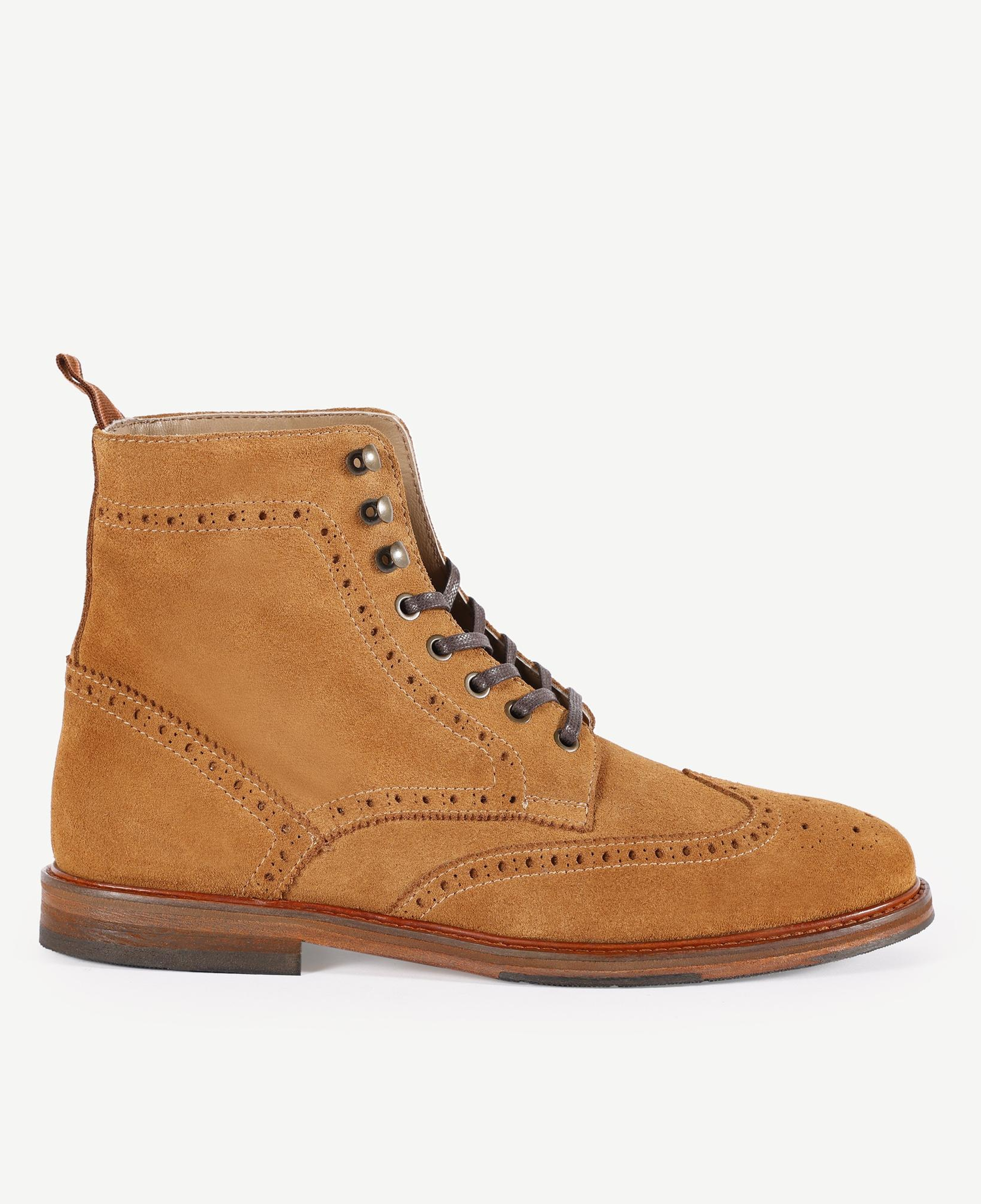 YARGICI Oxford Bağlı Bot