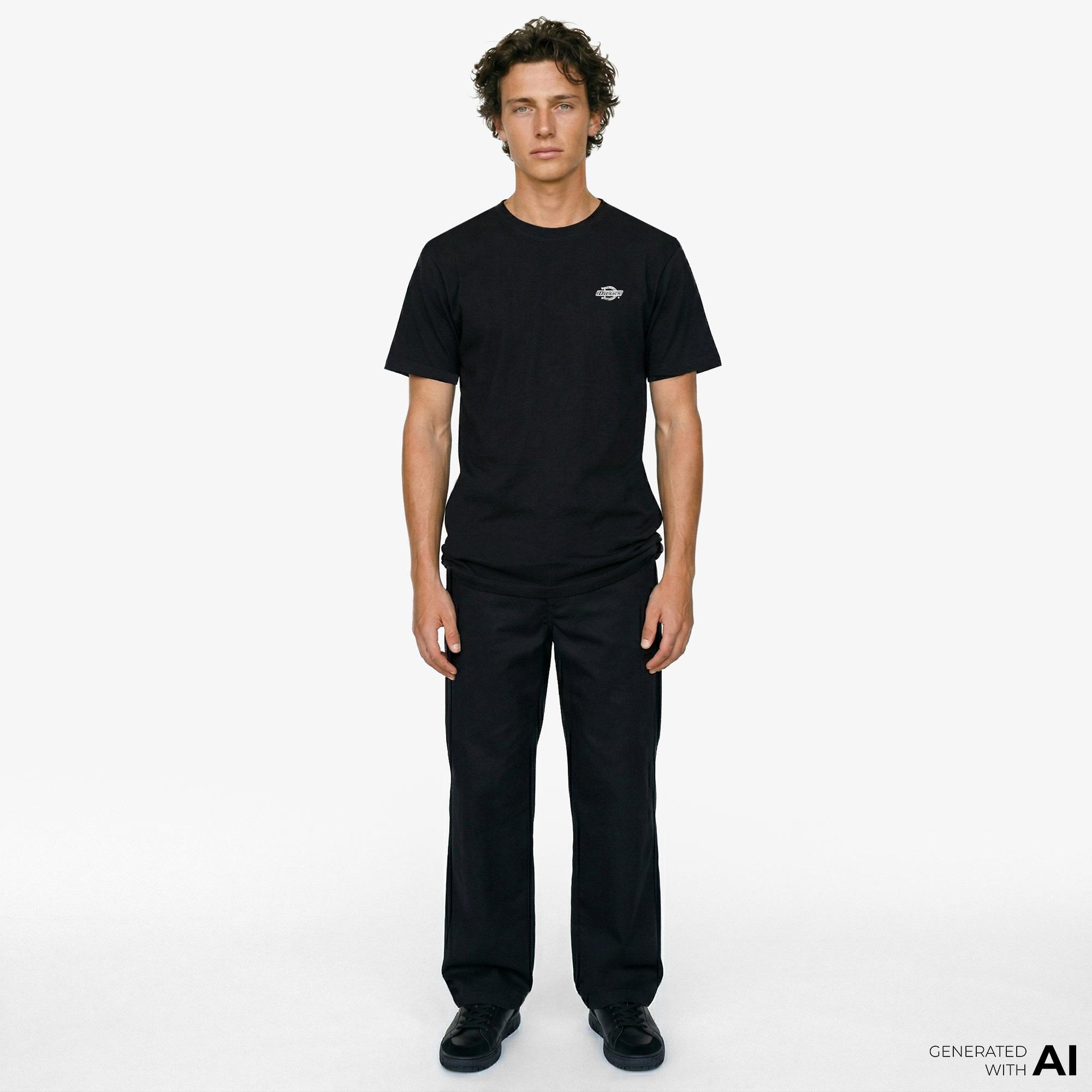 Dickies Summerdale Ss Erkek Siyah T-Shirt