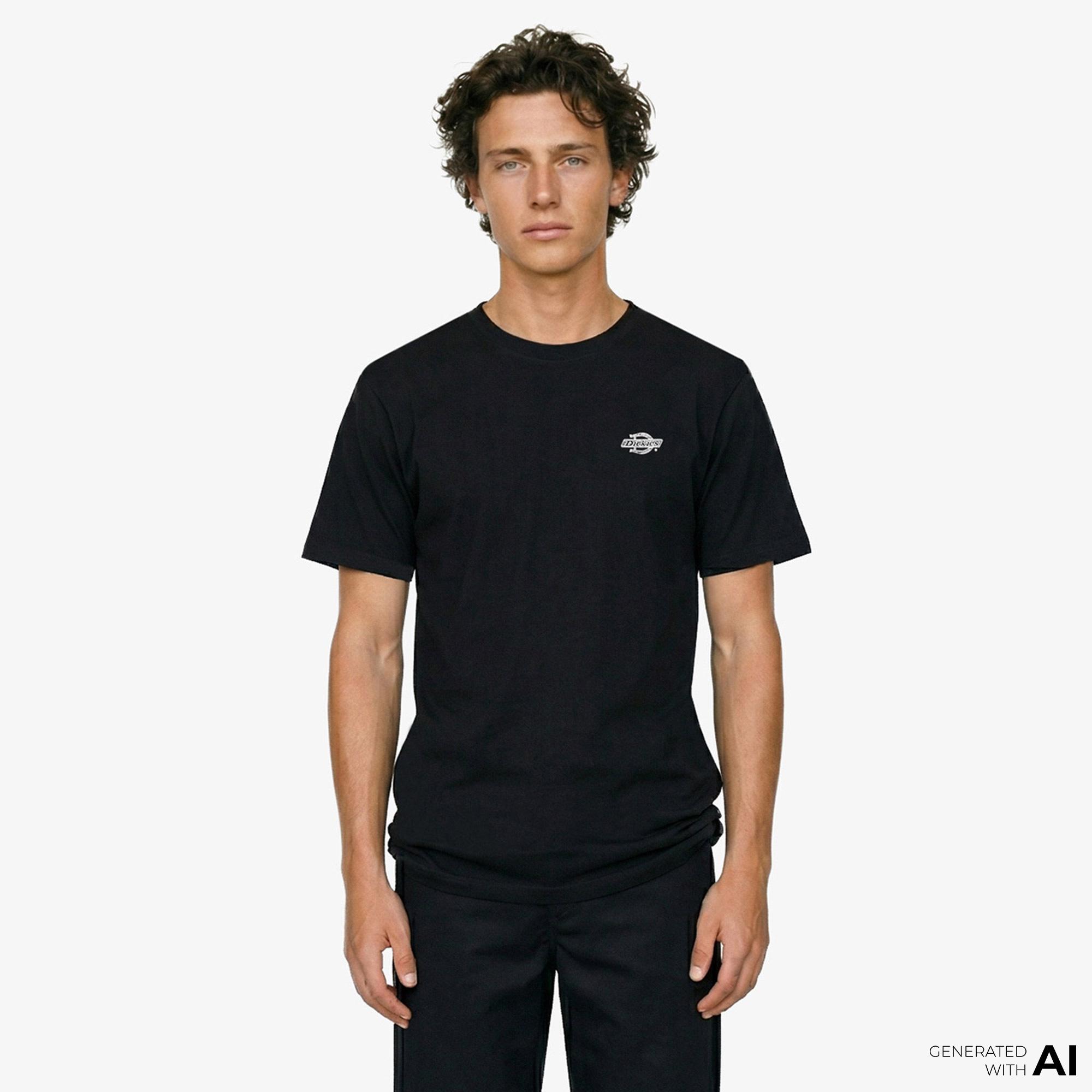 Dickies Summerdale Ss Erkek Siyah T-Shirt
