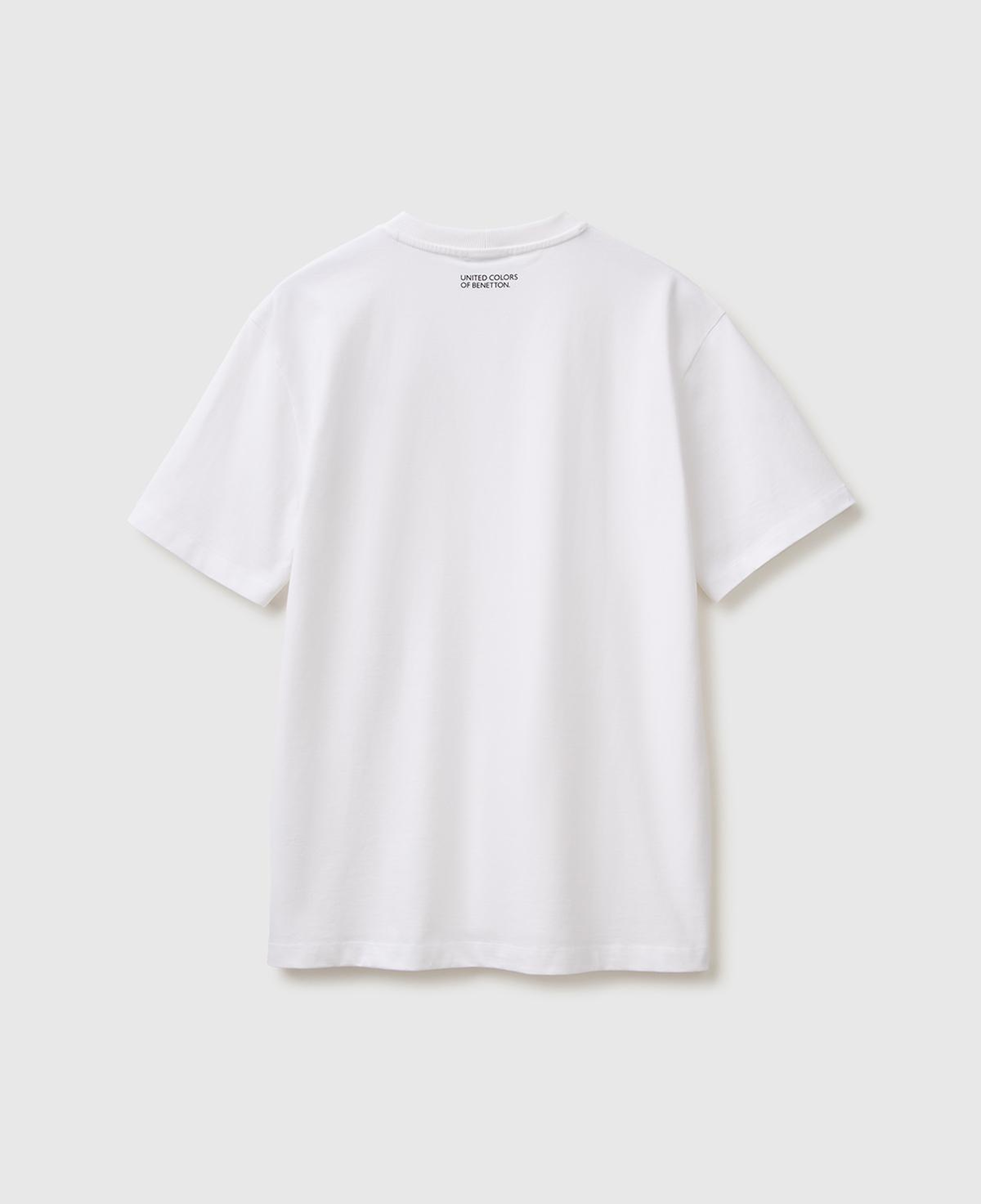 Erkek Beyaz Mix %100 Pamuk Grafik Baskılı Regular Fit Bisiklet Yaka T-Shirt