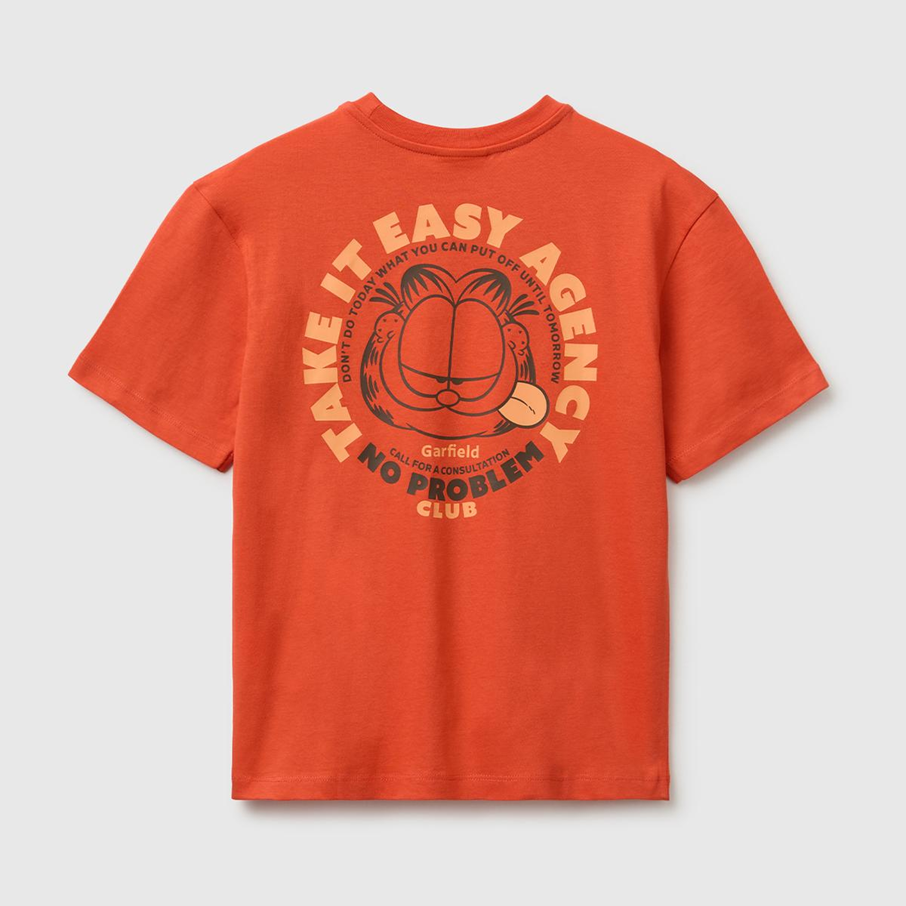 Erkek Çocuk Kırmızı Garfield Baskı Detaylı Yuvarlak Yaka T-Shirt