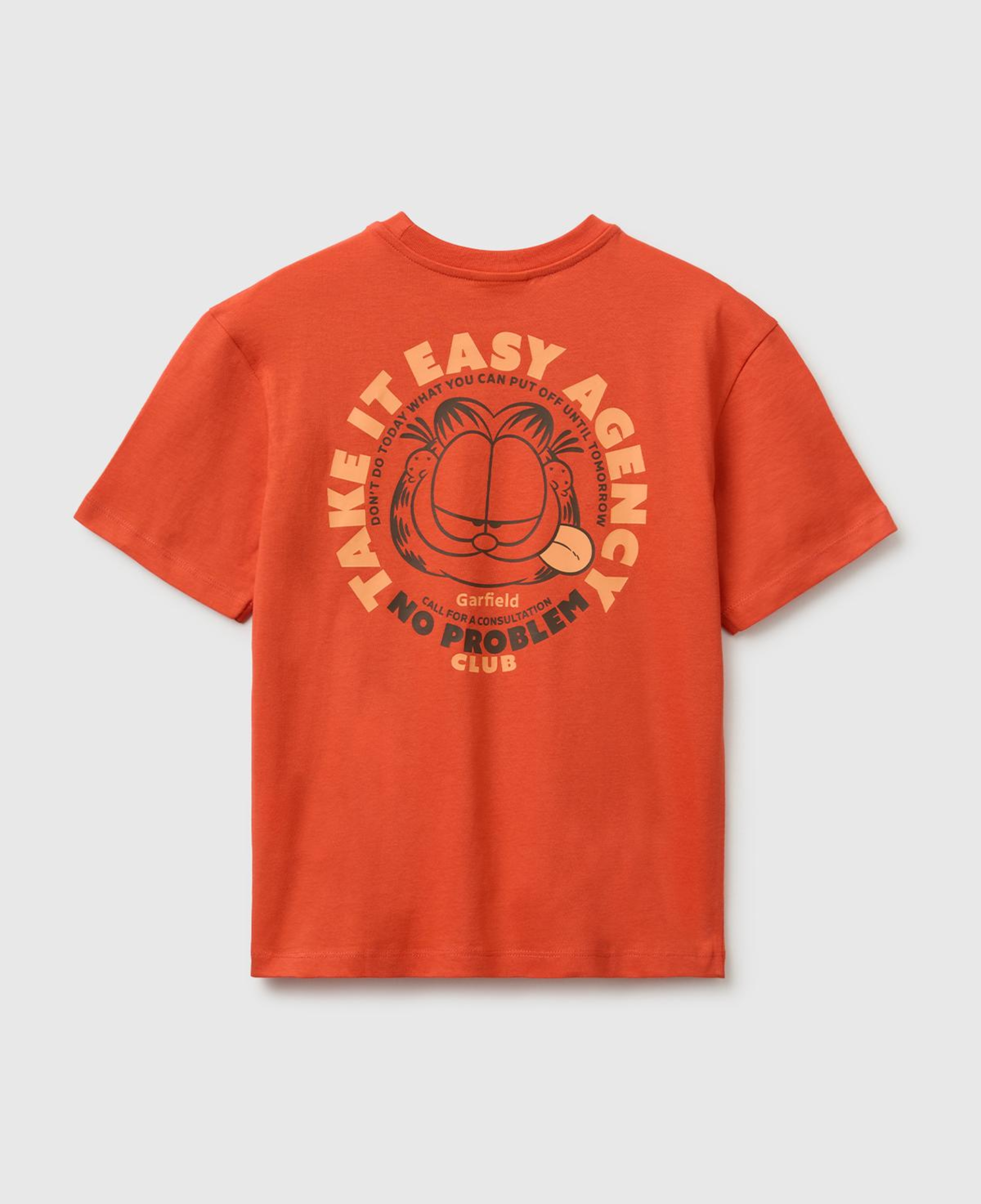 Erkek Çocuk Kırmızı Garfield Baskı Detaylı Yuvarlak Yaka T-Shirt