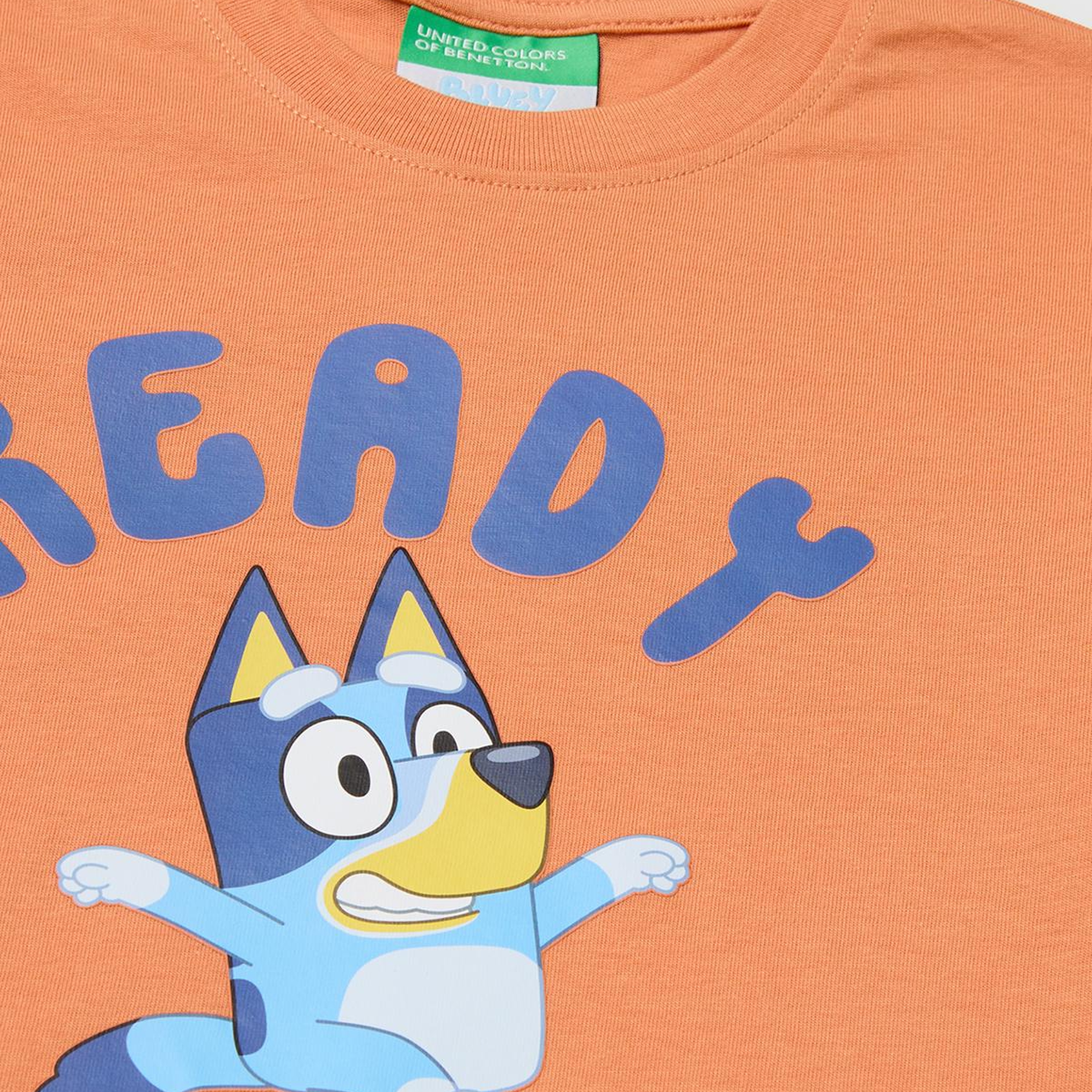 Erkek Çocuk Turuncu Bluey Baskı Detaylı Yuvarlak Yaka T-Shirt
