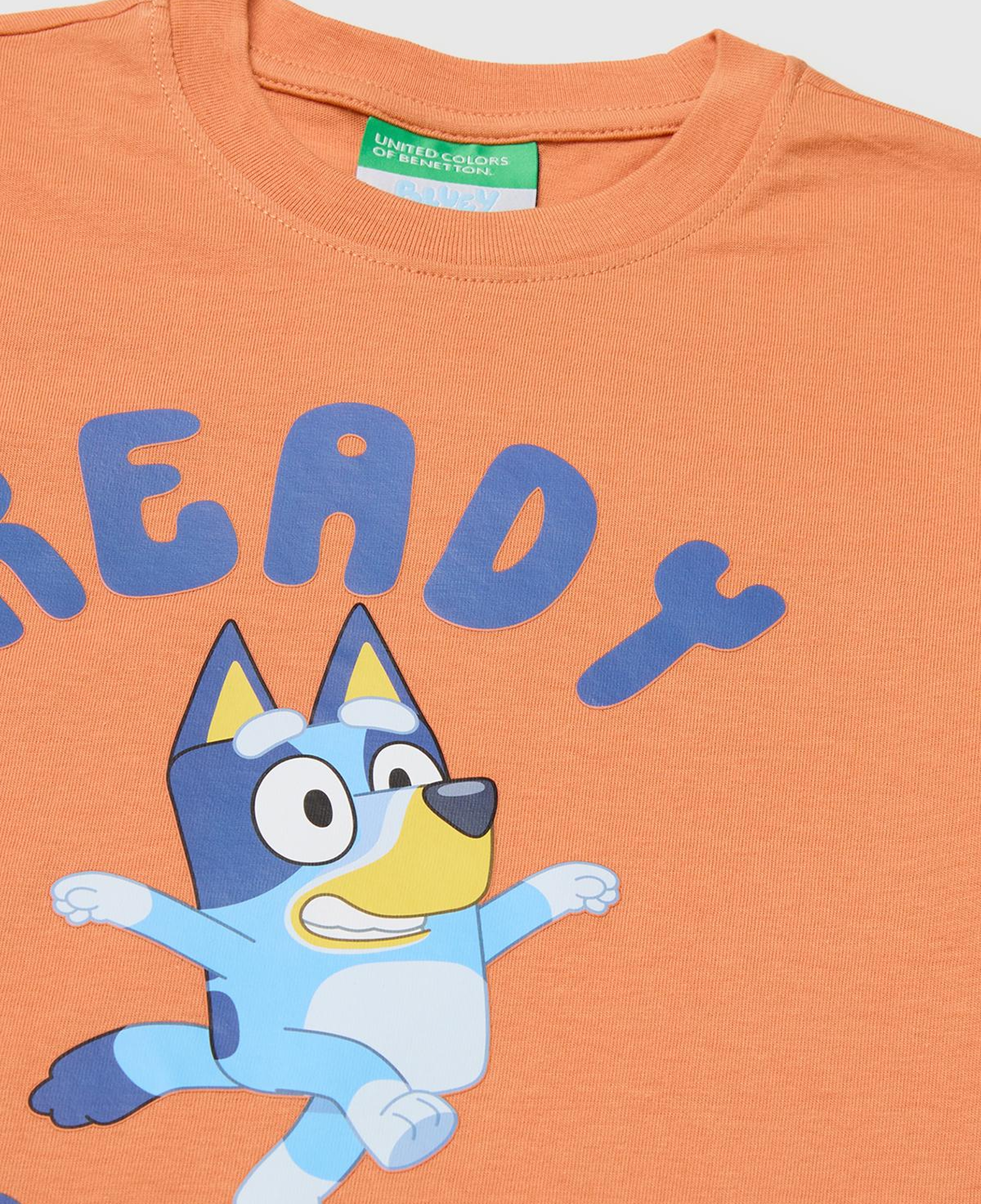 Erkek Çocuk Turuncu Bluey Baskı Detaylı Yuvarlak Yaka T-Shirt