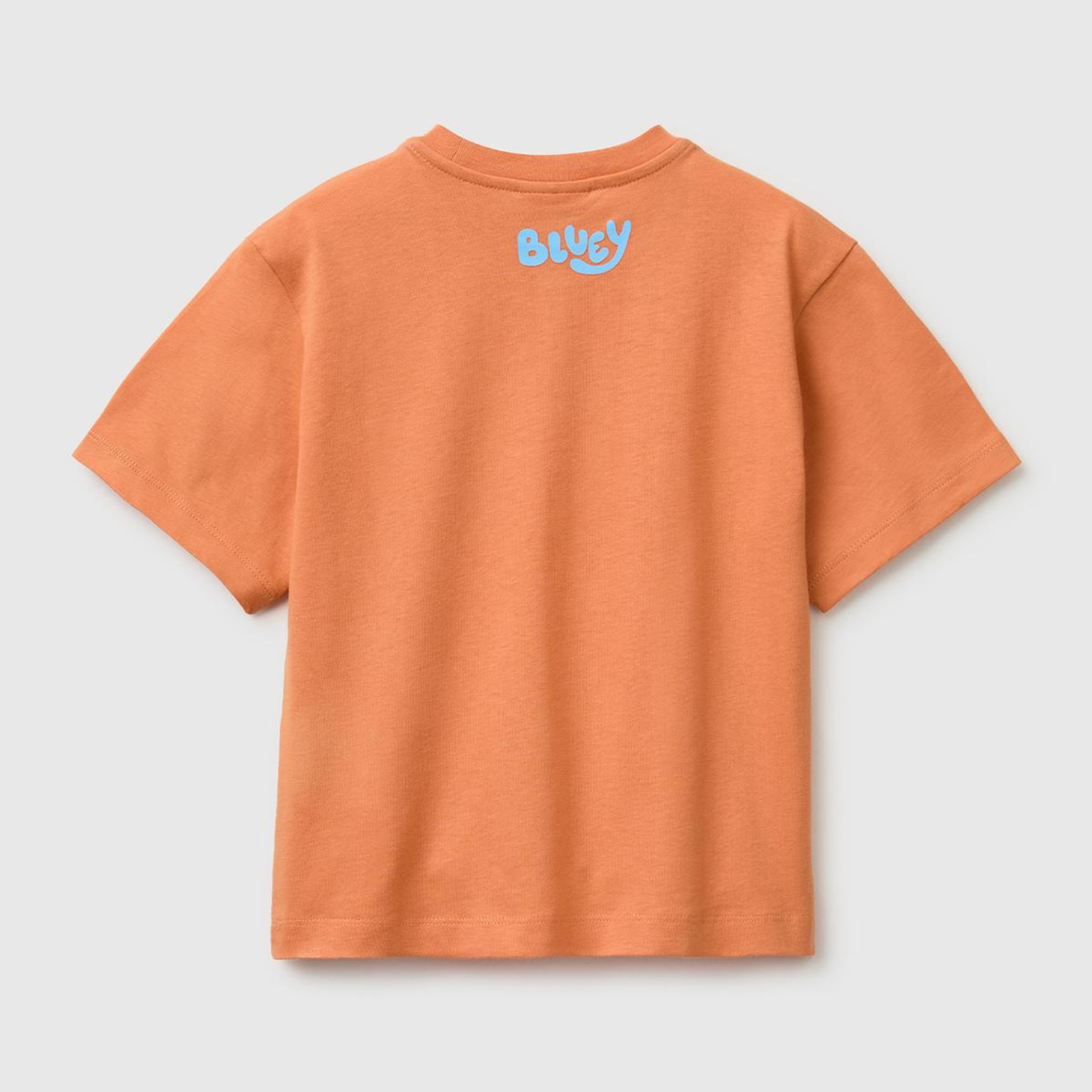 Erkek Çocuk Turuncu Bluey Baskı Detaylı Yuvarlak Yaka T-Shirt