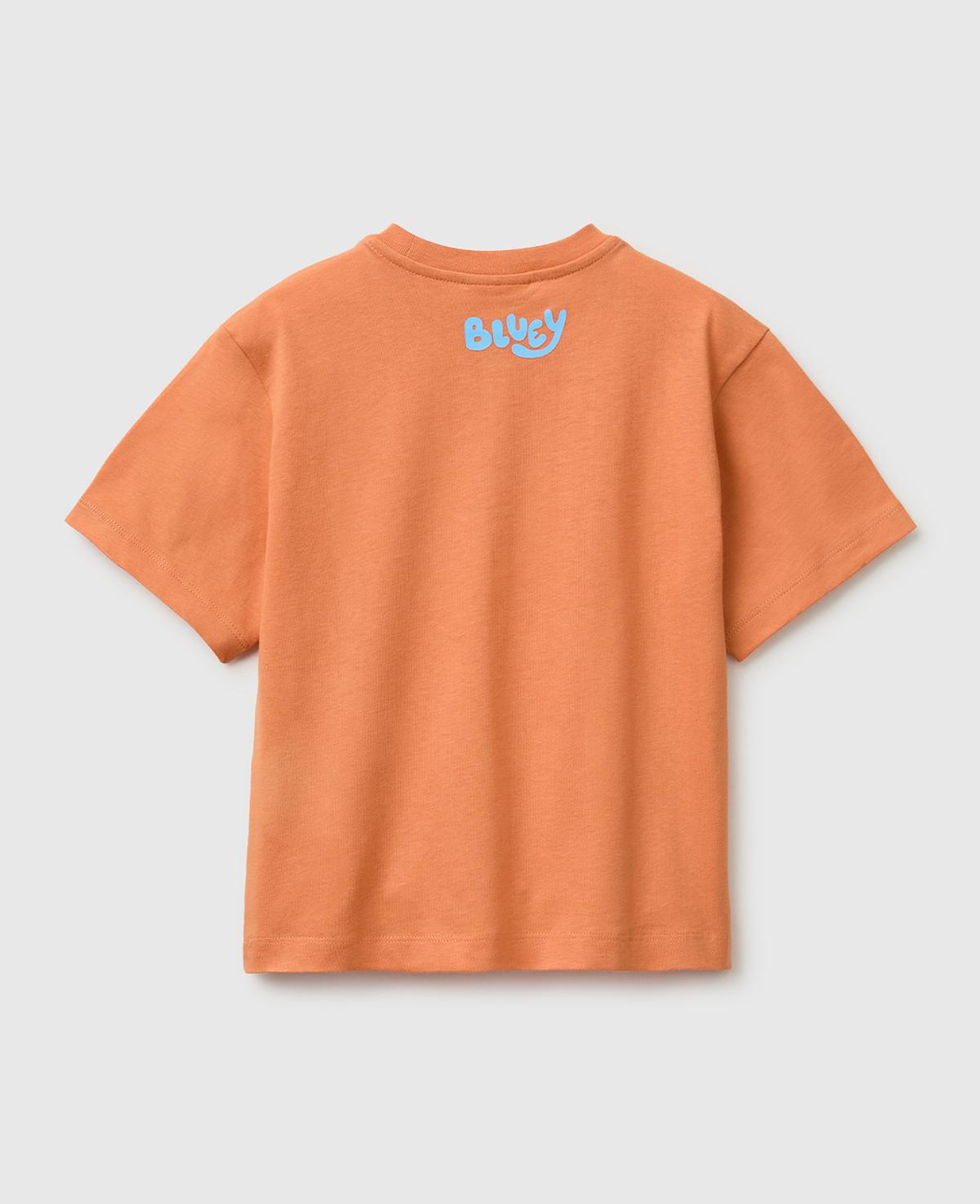 Erkek Çocuk Turuncu Bluey Baskı Detaylı Yuvarlak Yaka T-Shirt