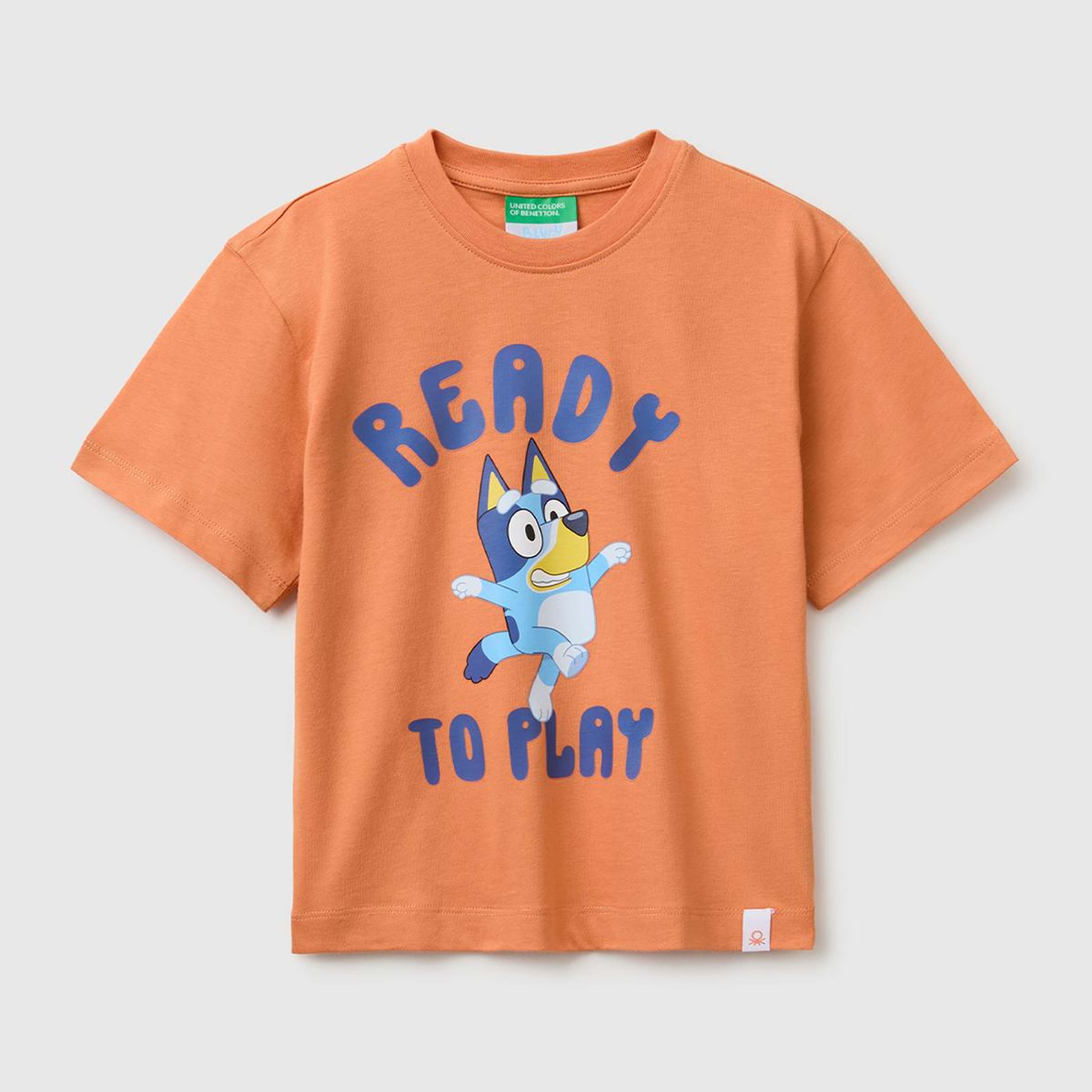 Erkek Çocuk Turuncu Bluey Baskı Detaylı Yuvarlak Yaka T-Shirt