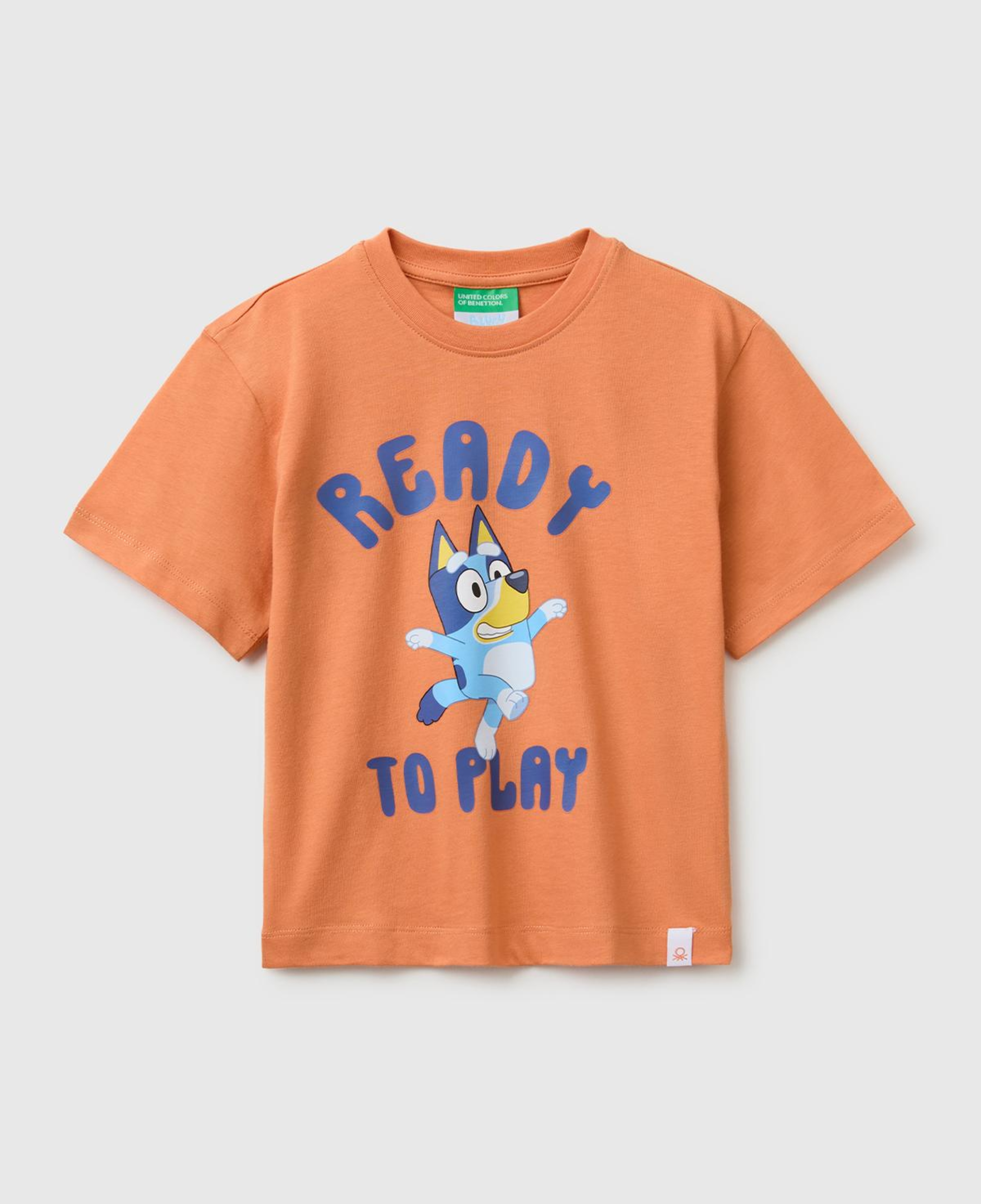 Erkek Çocuk Turuncu Bluey Baskı Detaylı Yuvarlak Yaka T-Shirt