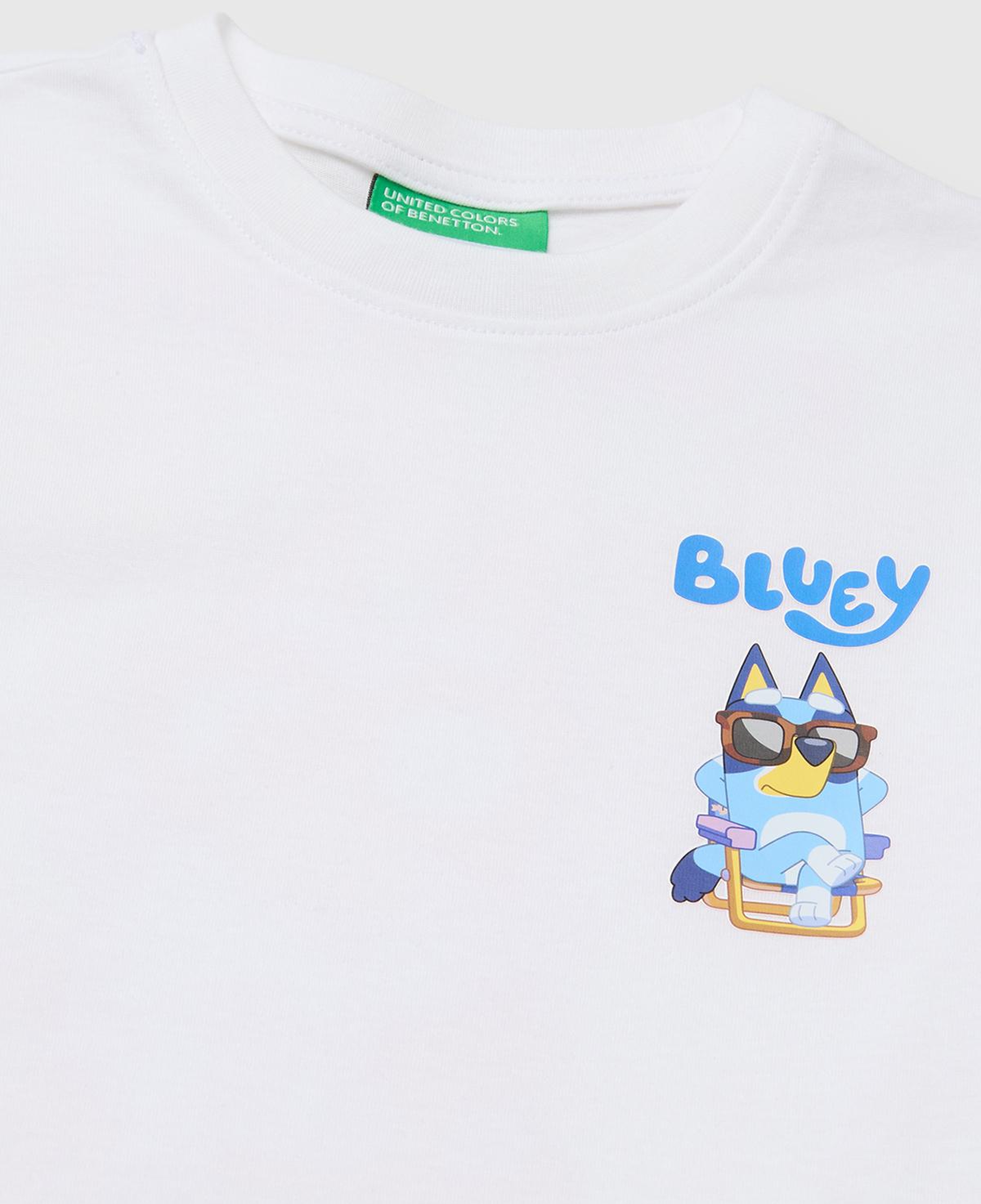 Erkek Çocuk Beyaz Bluey Baskı Detaylı Yuvarlak Yaka T-Shirt