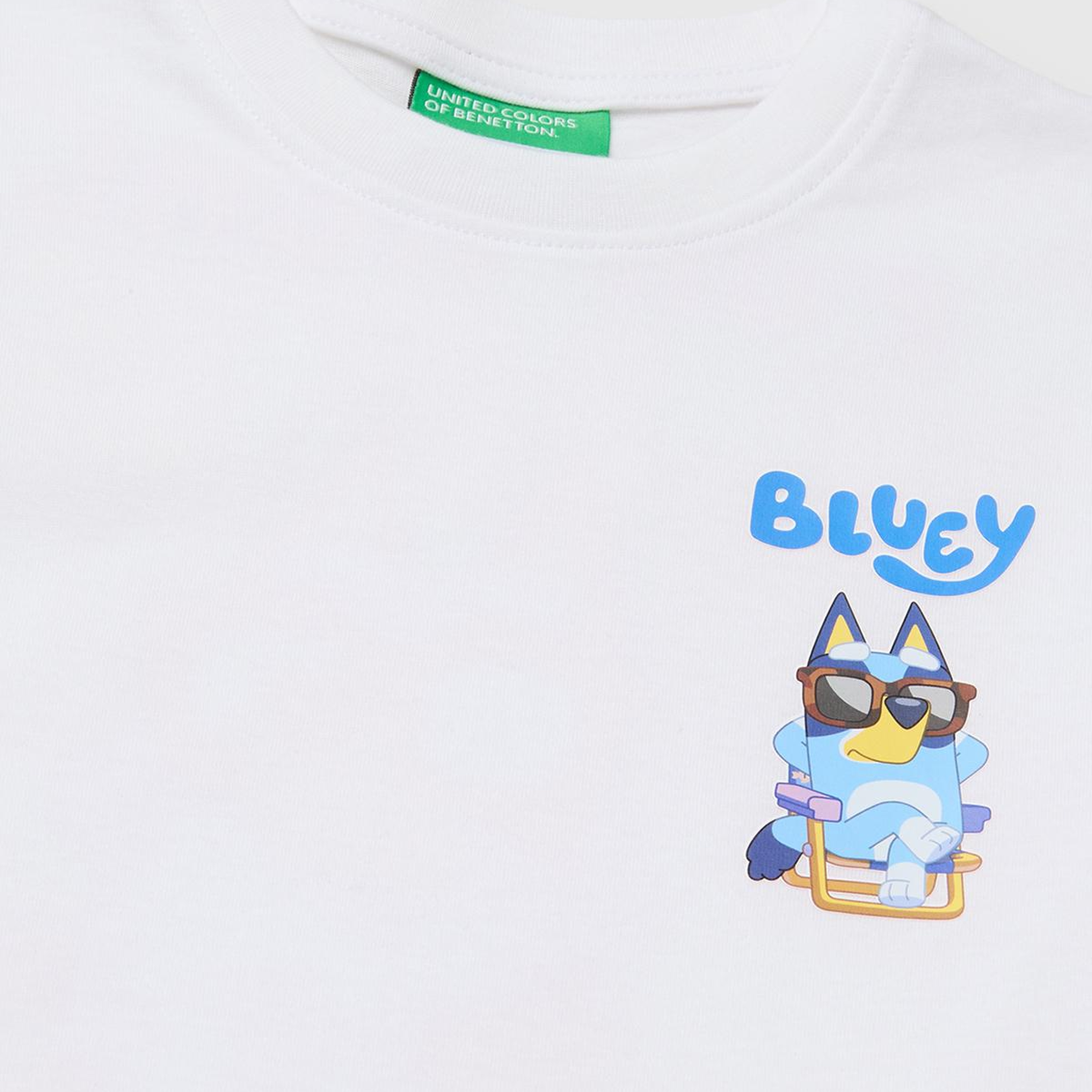Erkek Çocuk Beyaz Bluey Baskı Detaylı Yuvarlak Yaka T-Shirt