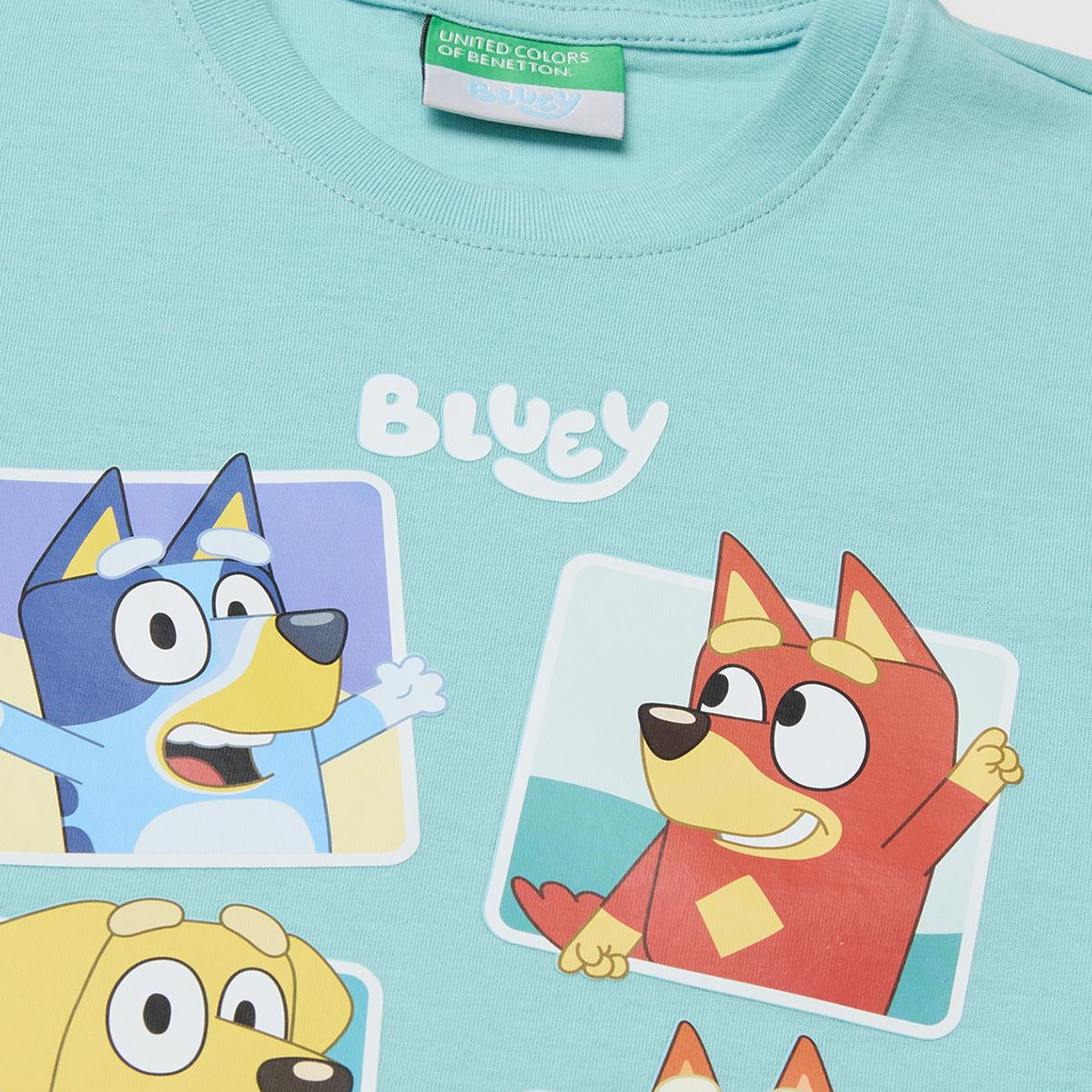 Erkek Çocuk Su yeşili Bluey Baskı Detaylı Yuvarlak Yaka T-Shirt