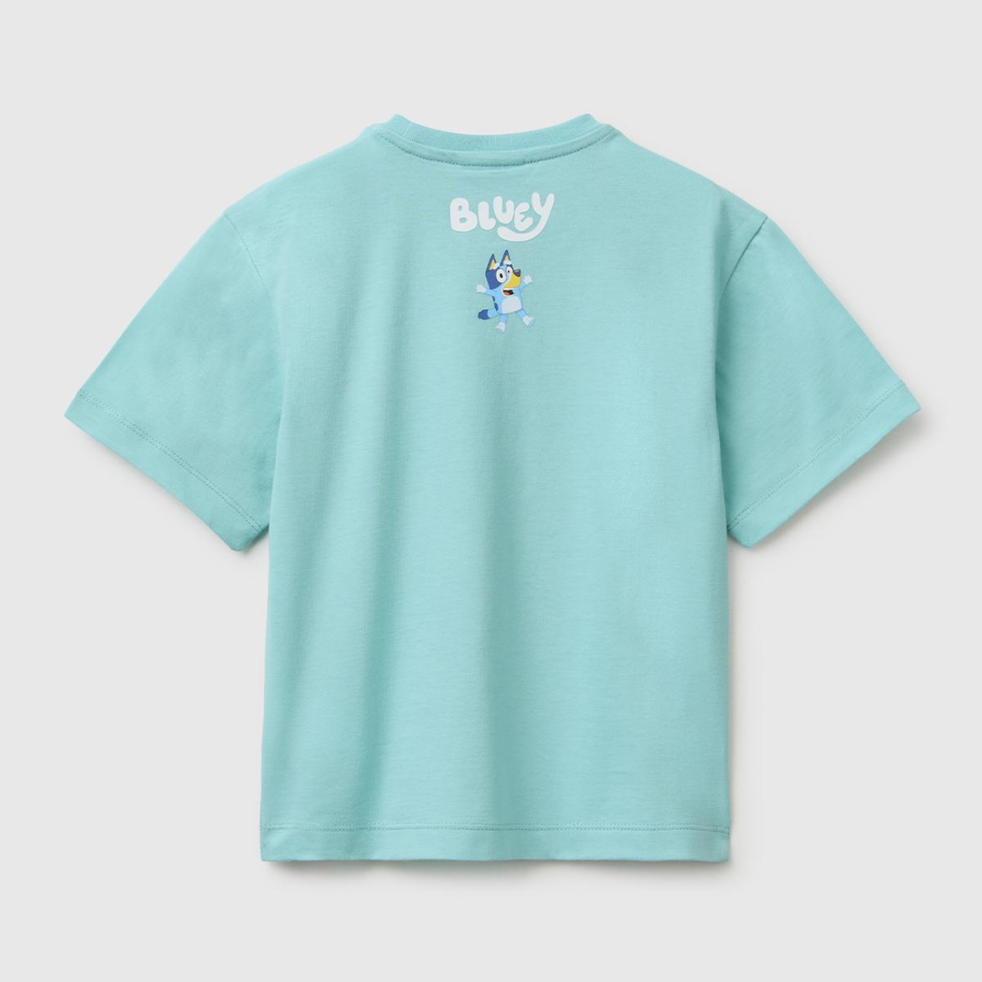 Erkek Çocuk Su yeşili Bluey Baskı Detaylı Yuvarlak Yaka T-Shirt