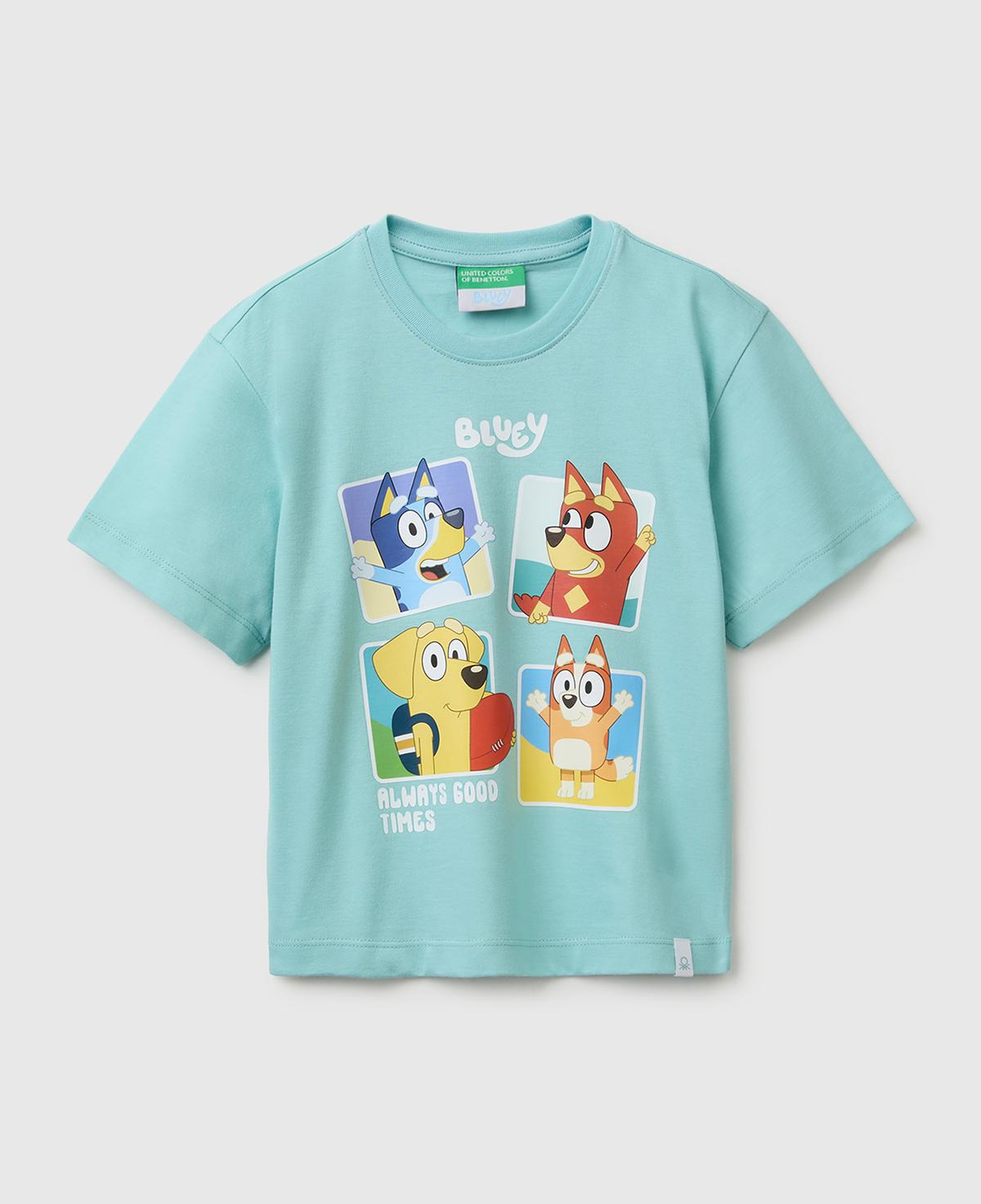 Erkek Çocuk Su yeşili Bluey Baskı Detaylı Yuvarlak Yaka T-Shirt