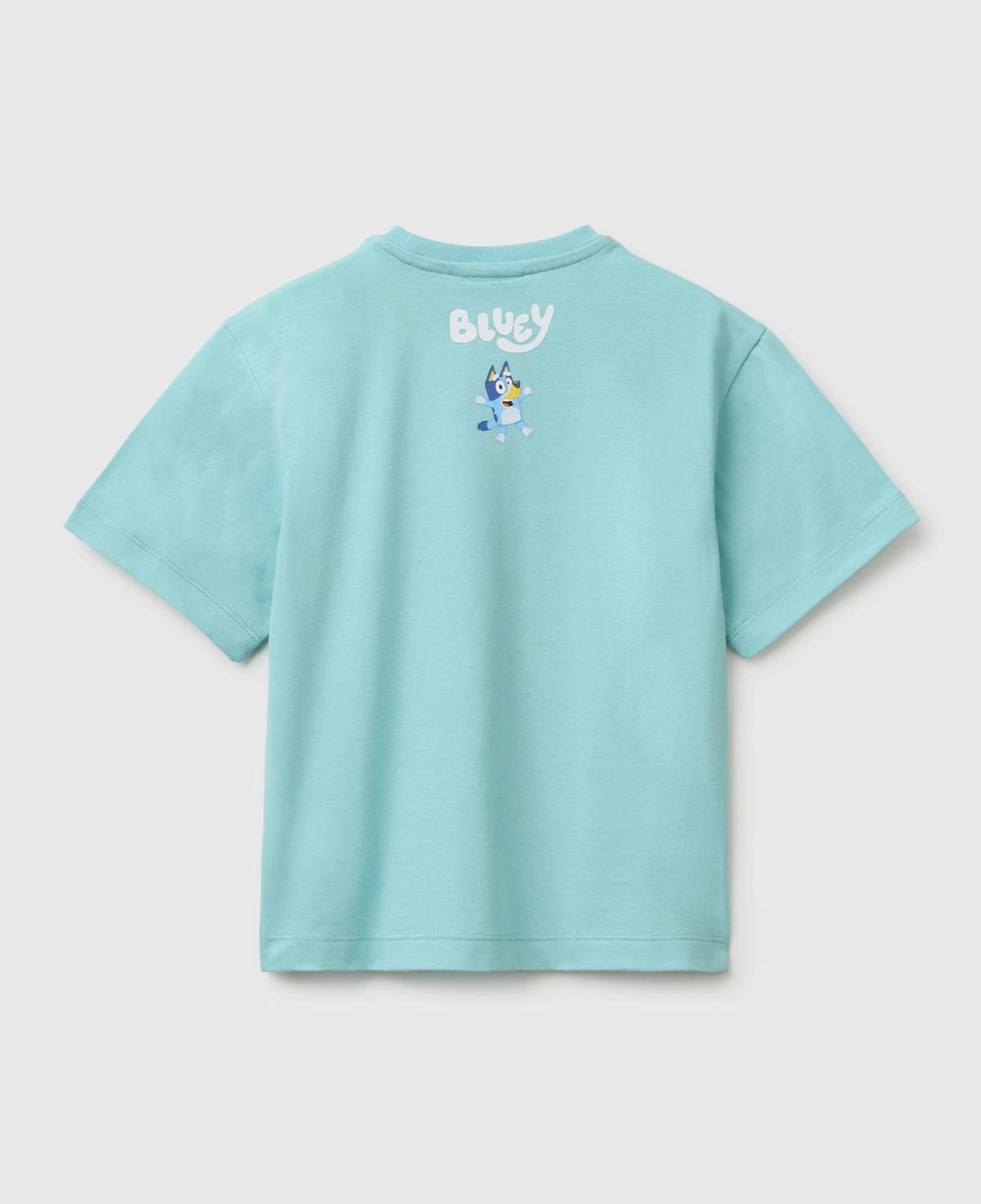 Erkek Çocuk Su yeşili Bluey Baskı Detaylı Yuvarlak Yaka T-Shirt