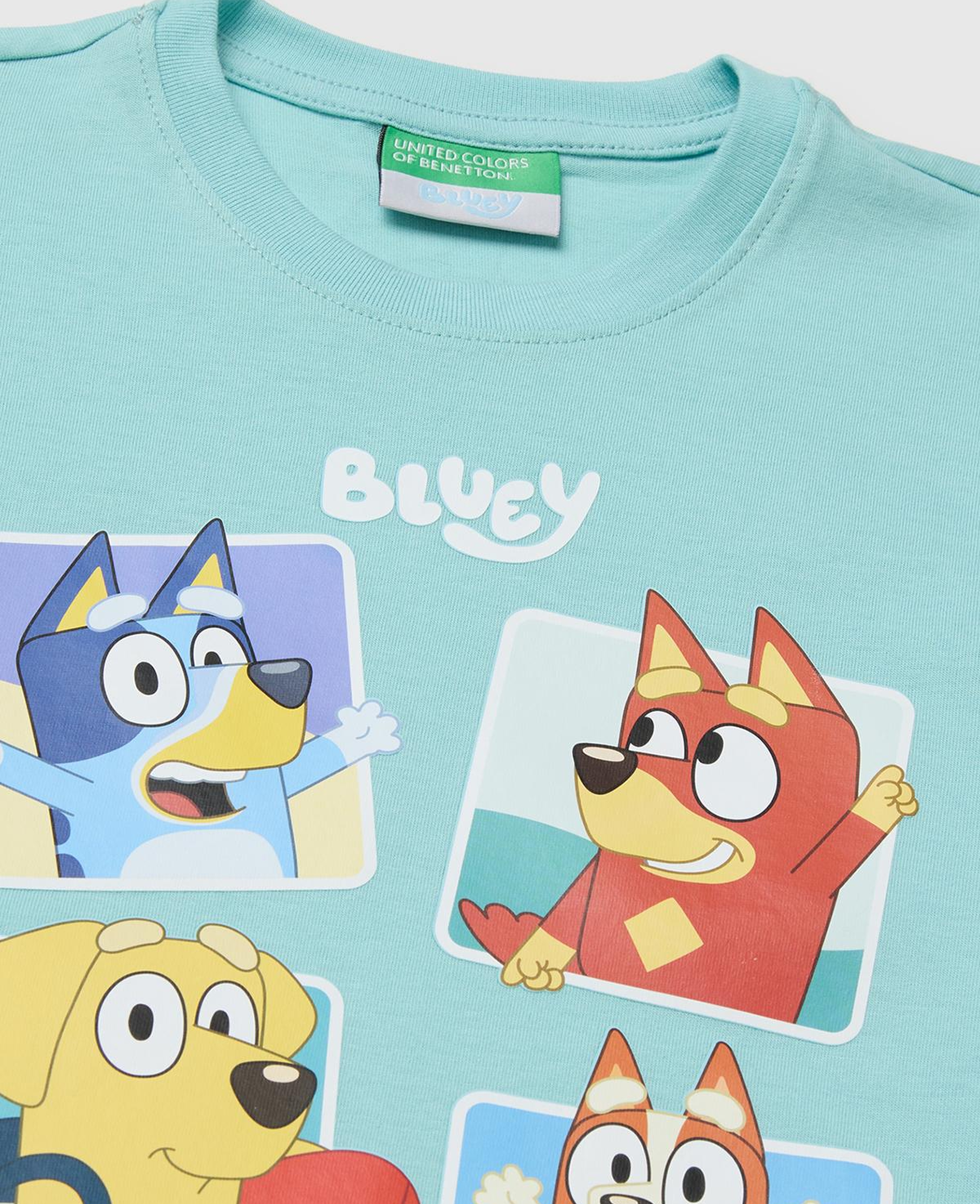 Erkek Çocuk Su yeşili Bluey Baskı Detaylı Yuvarlak Yaka T-Shirt
