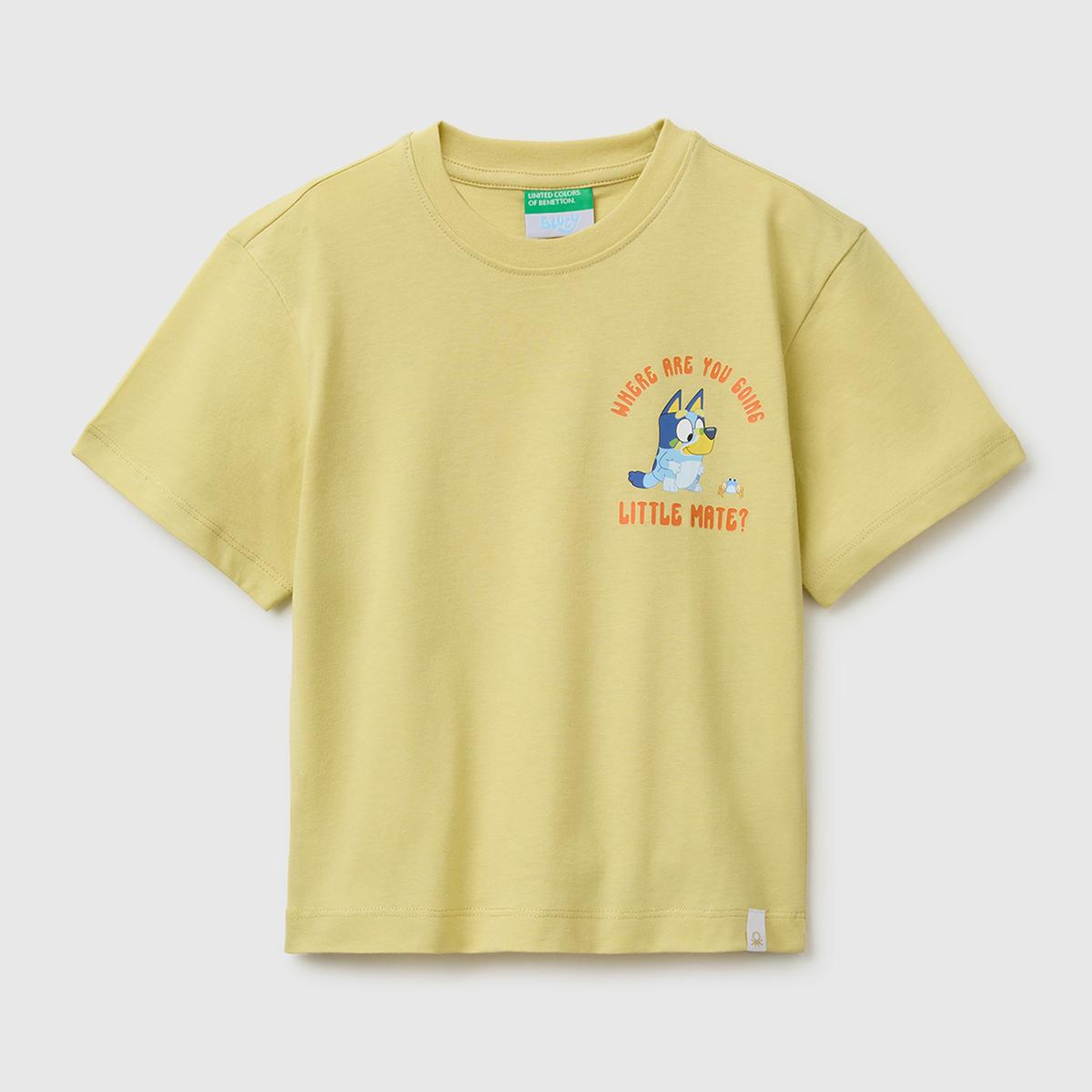 Erkek Çocuk Sarı Bluey Baskı Detaylı Yuvarlak Yaka T-Shirt