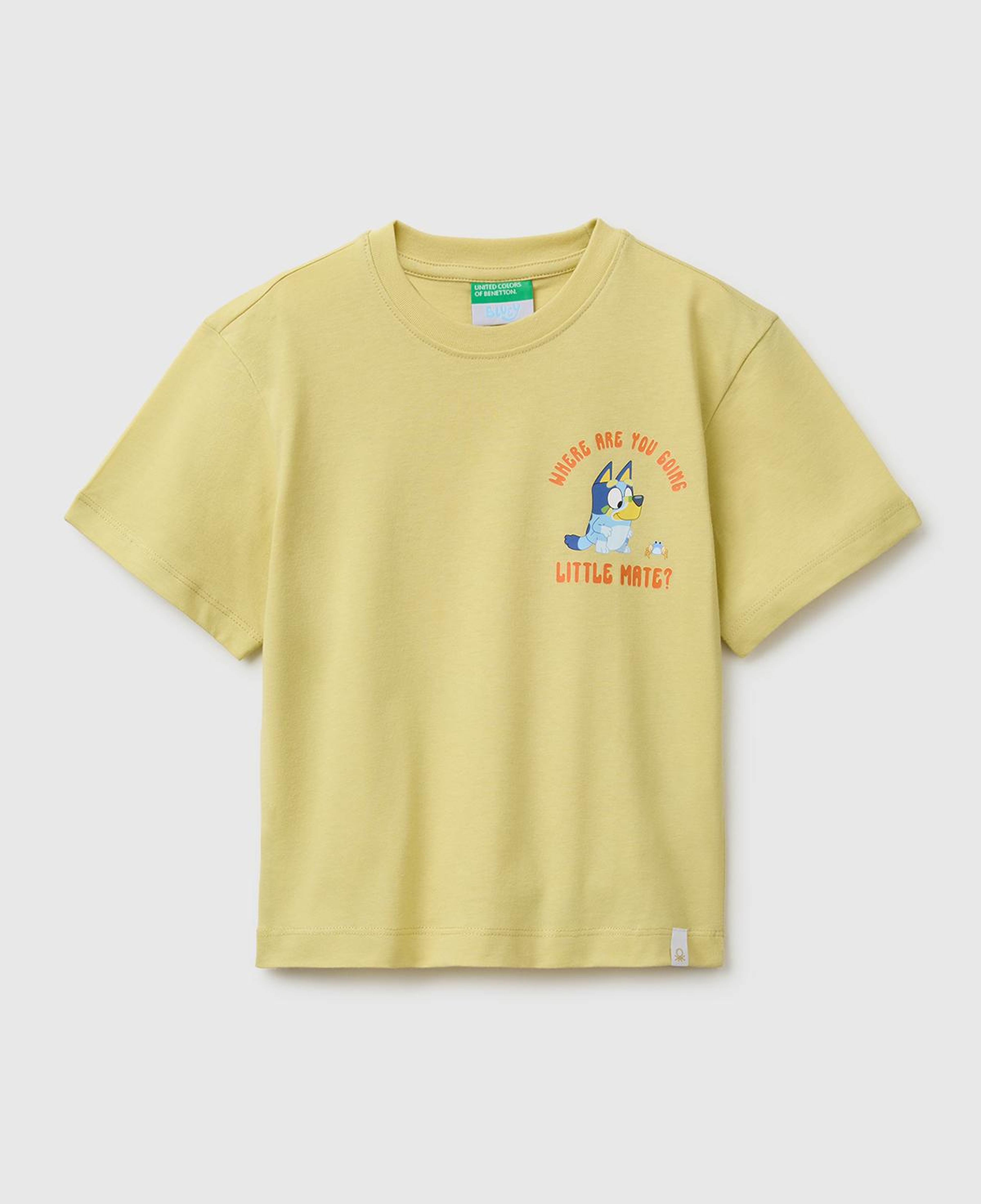 Erkek Çocuk Sarı Bluey Baskı Detaylı Yuvarlak Yaka T-Shirt