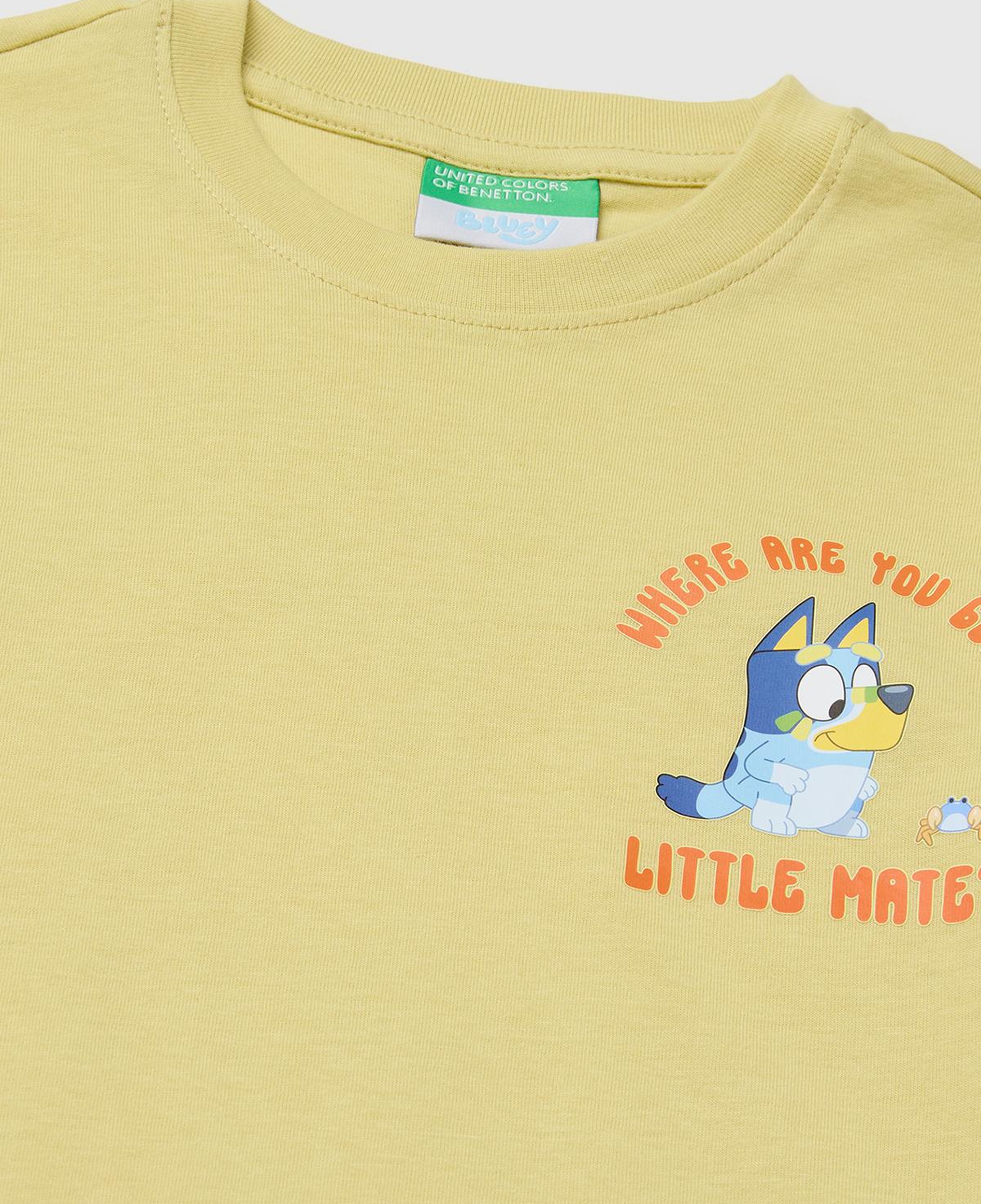 Erkek Çocuk Sarı Bluey Baskı Detaylı Yuvarlak Yaka T-Shirt