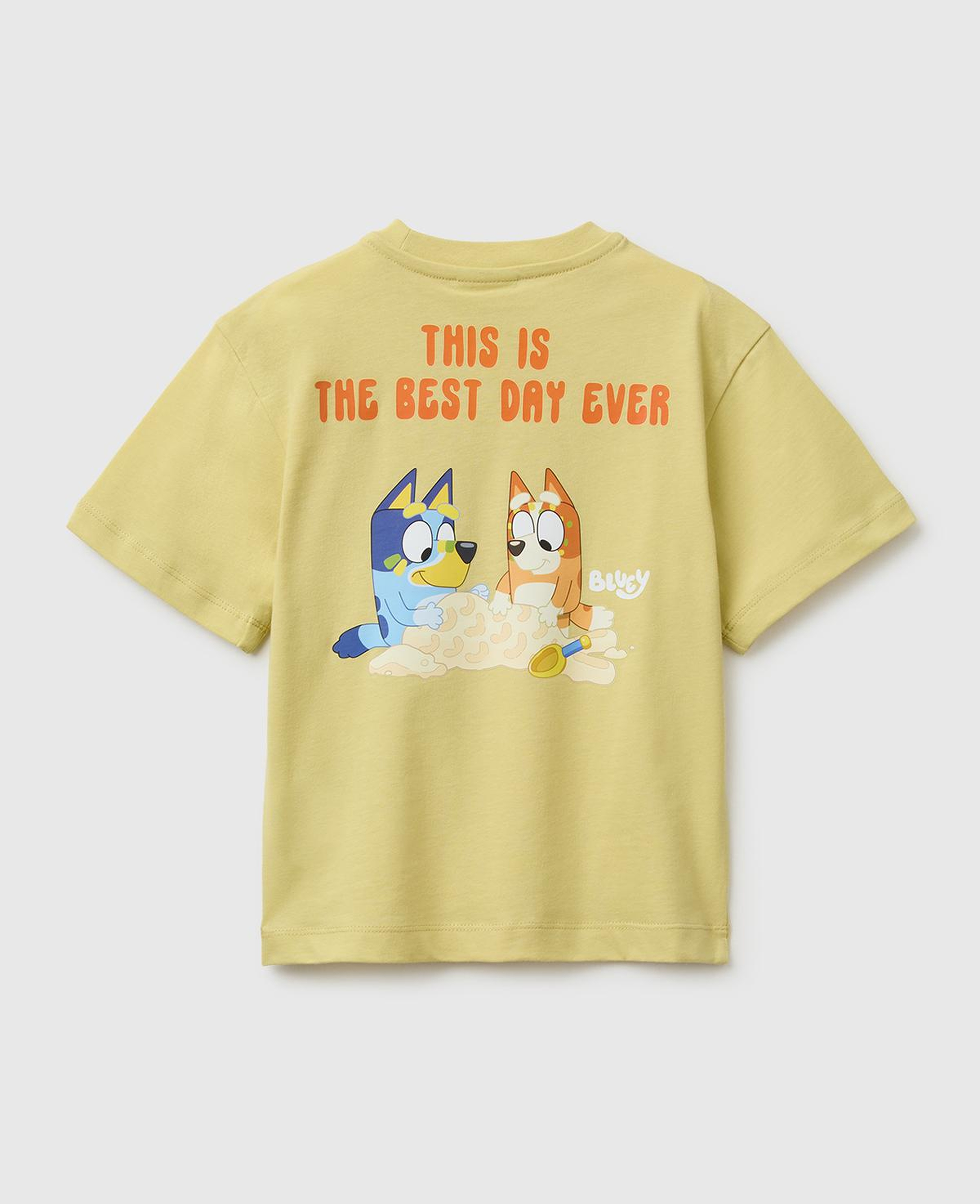 Erkek Çocuk Sarı Bluey Baskı Detaylı Yuvarlak Yaka T-Shirt