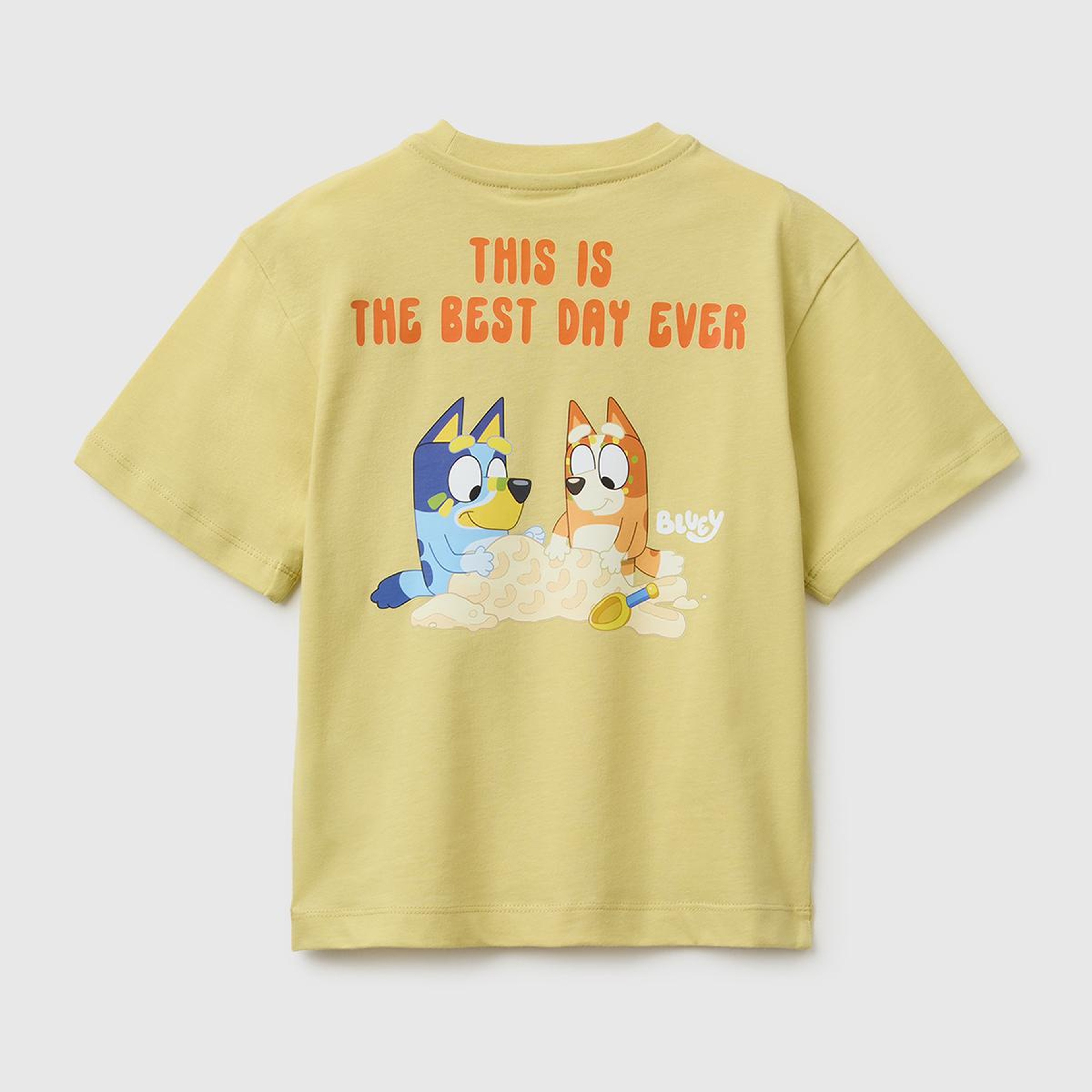 Erkek Çocuk Sarı Bluey Baskı Detaylı Yuvarlak Yaka T-Shirt