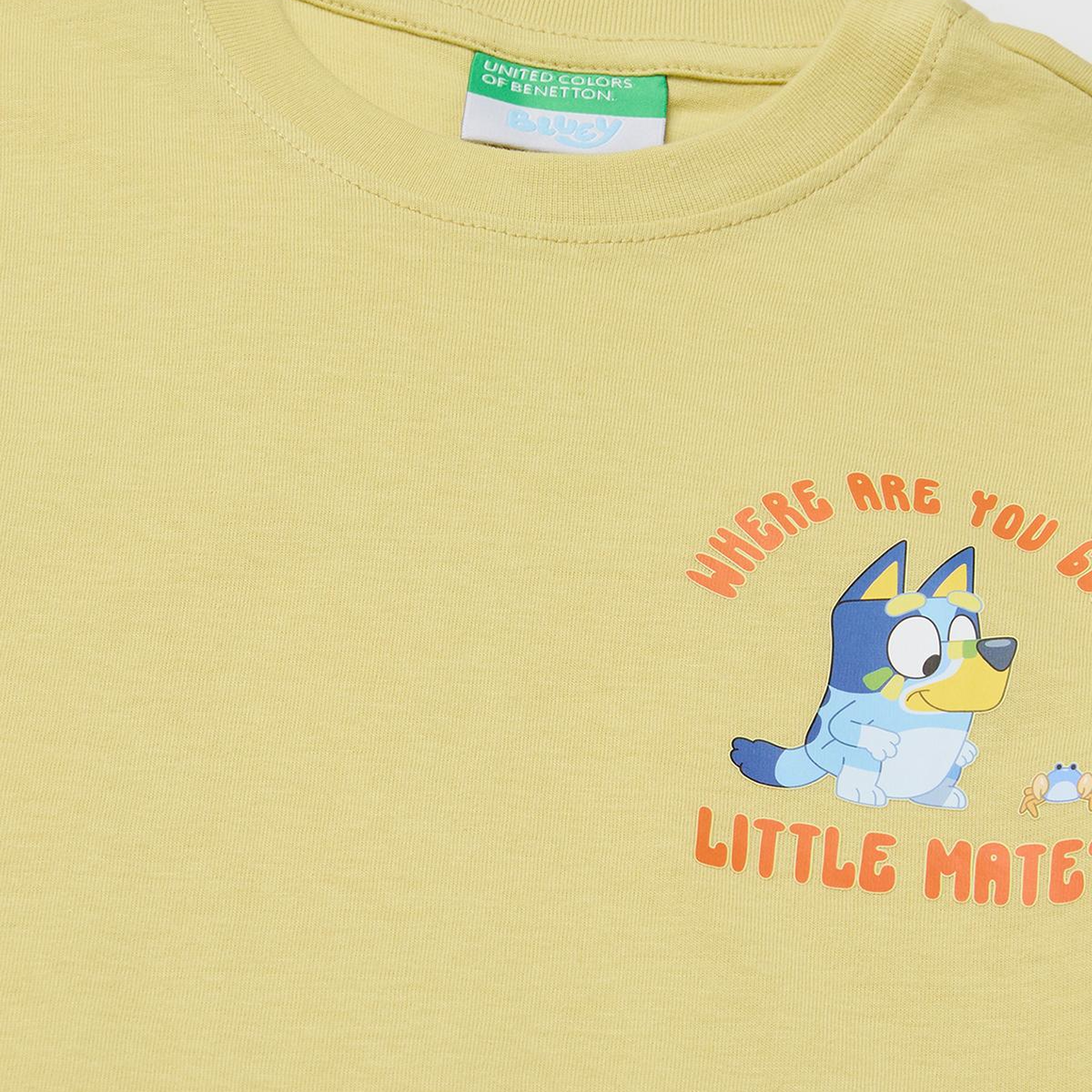 Erkek Çocuk Sarı Bluey Baskı Detaylı Yuvarlak Yaka T-Shirt