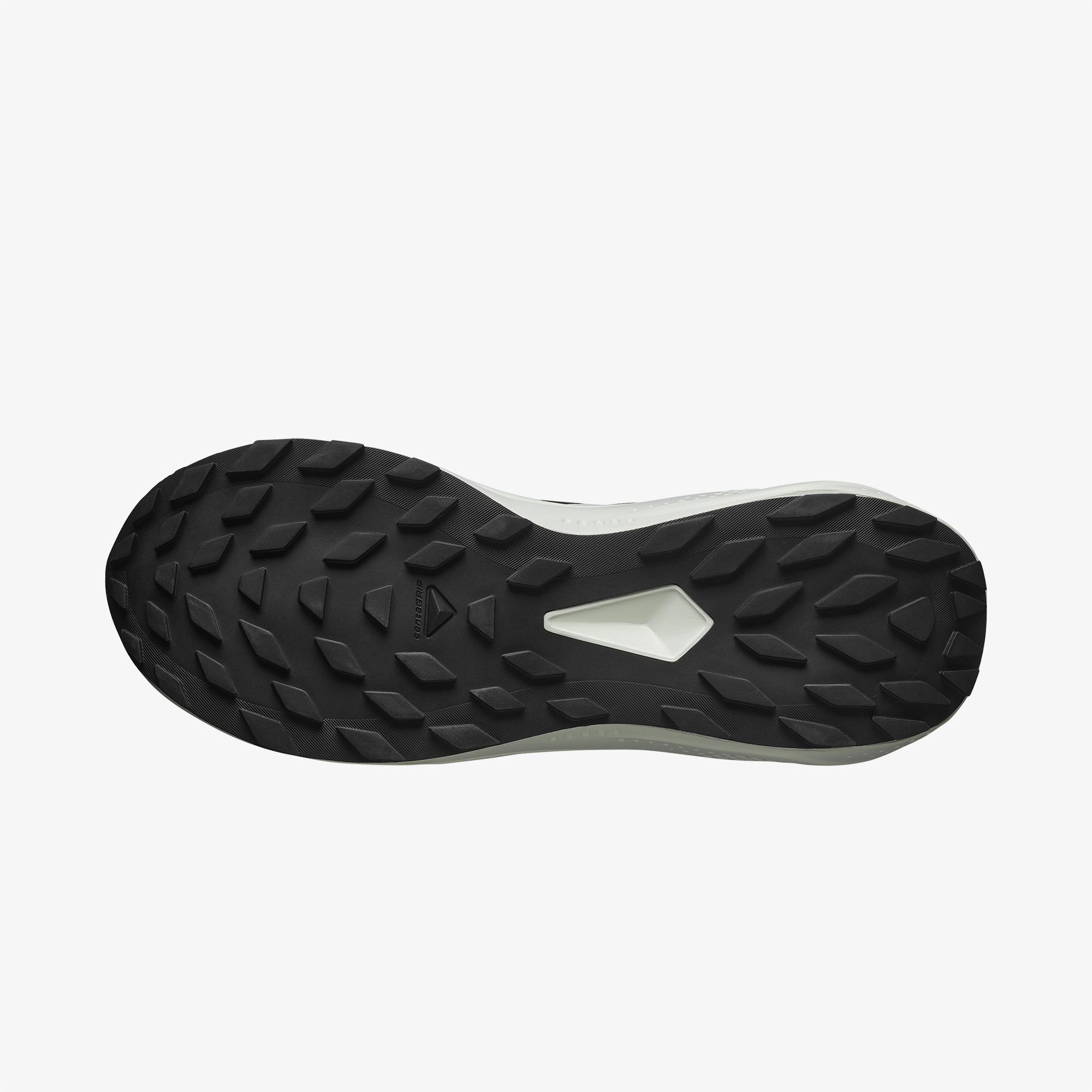 Salomon Alphaglide Erkek Siyah Koşu Ayakkabısı