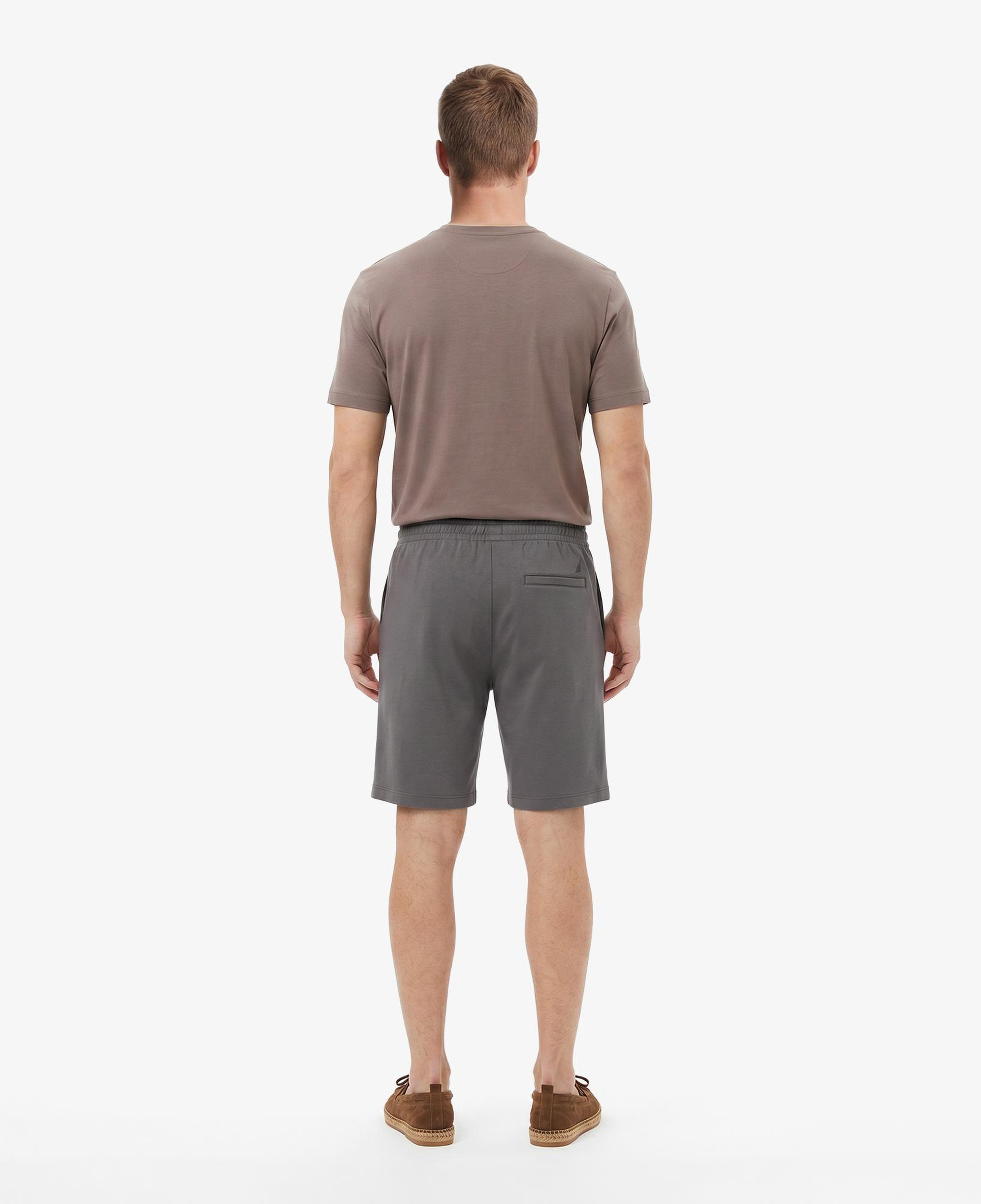 Nautica Erkek Gri Regular Fit Şort