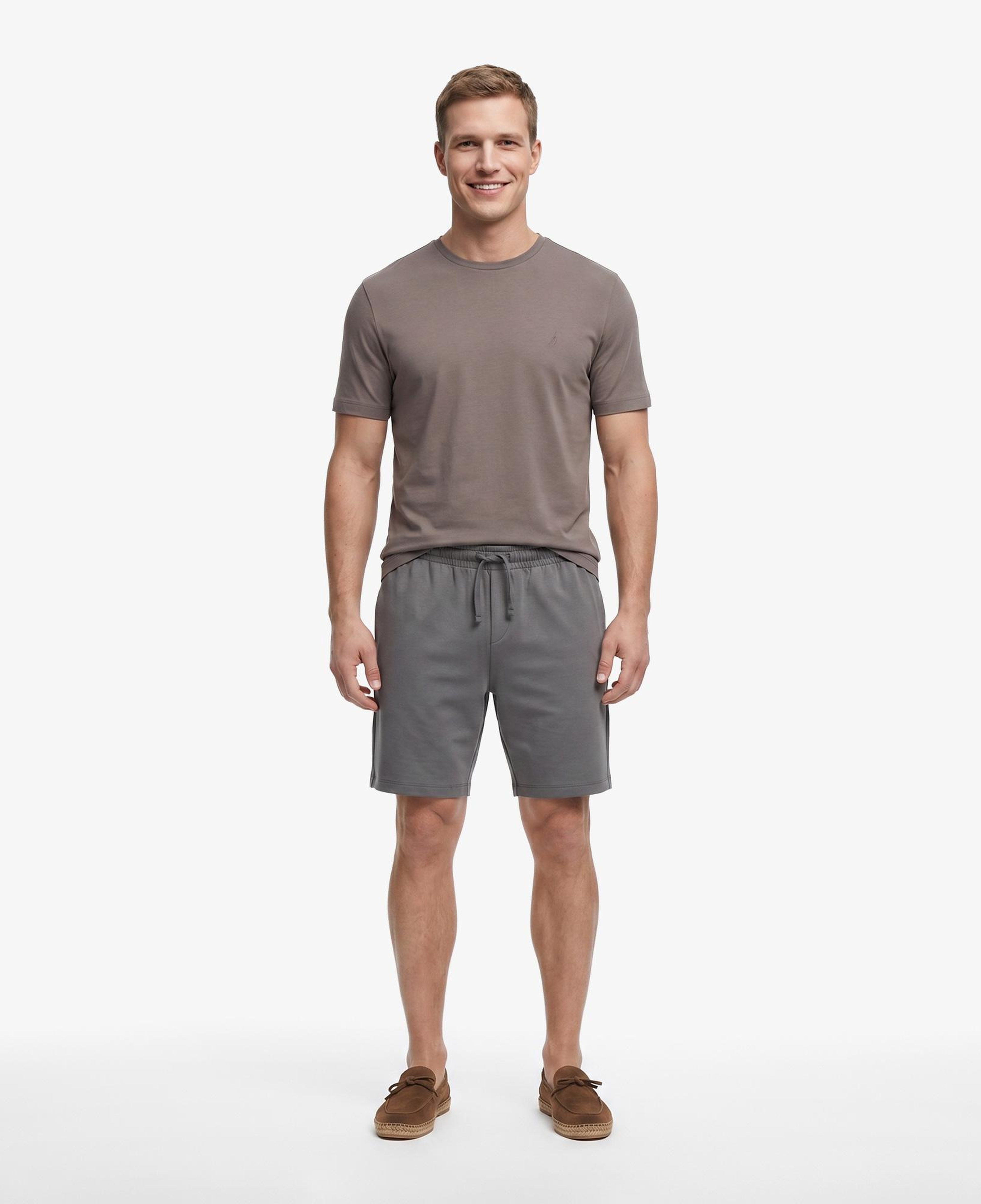 Nautica Erkek Gri Regular Fit Şort