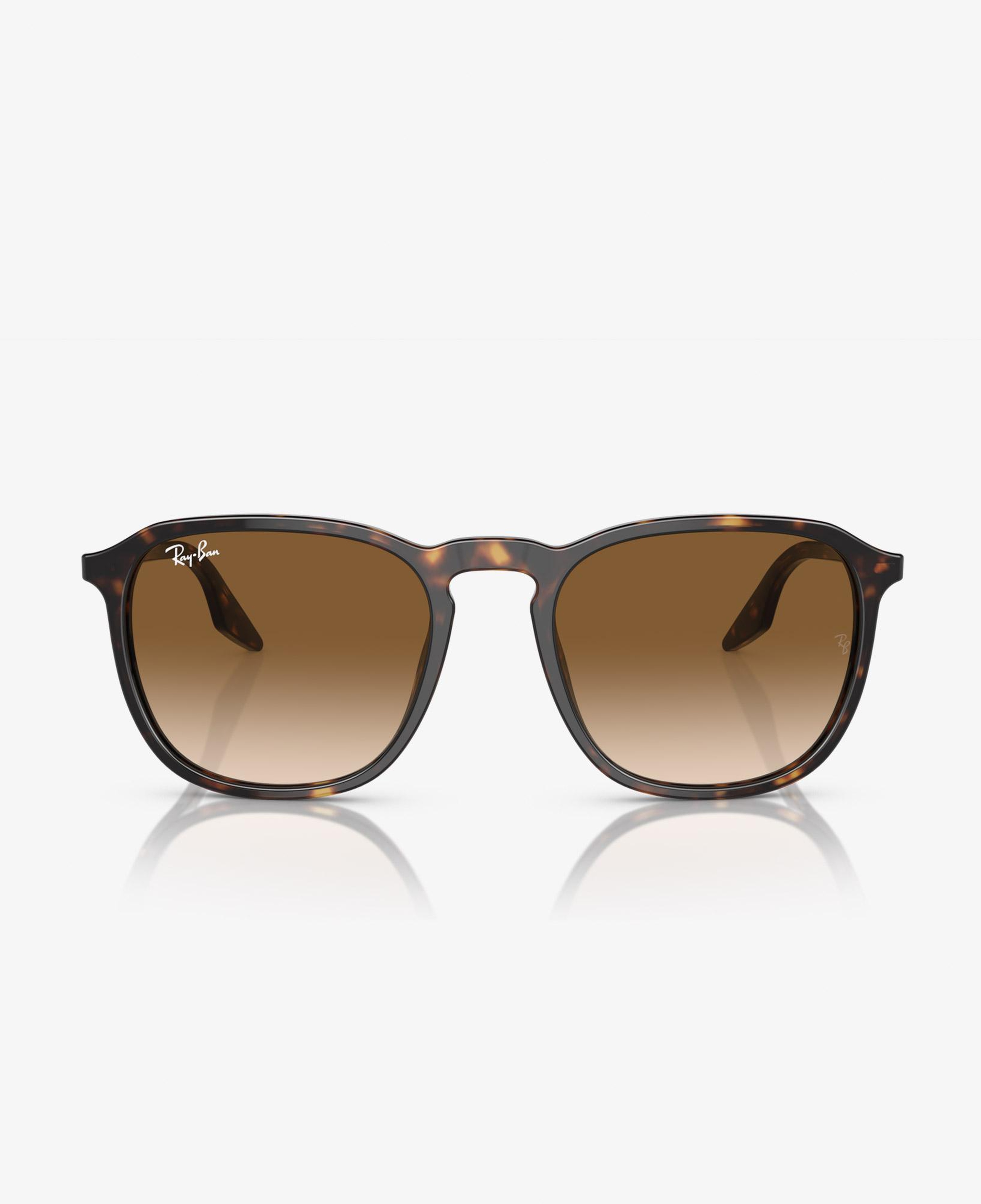 Ray-Ban Acetate Unisex Kahverengi Güneş Gözlüğü