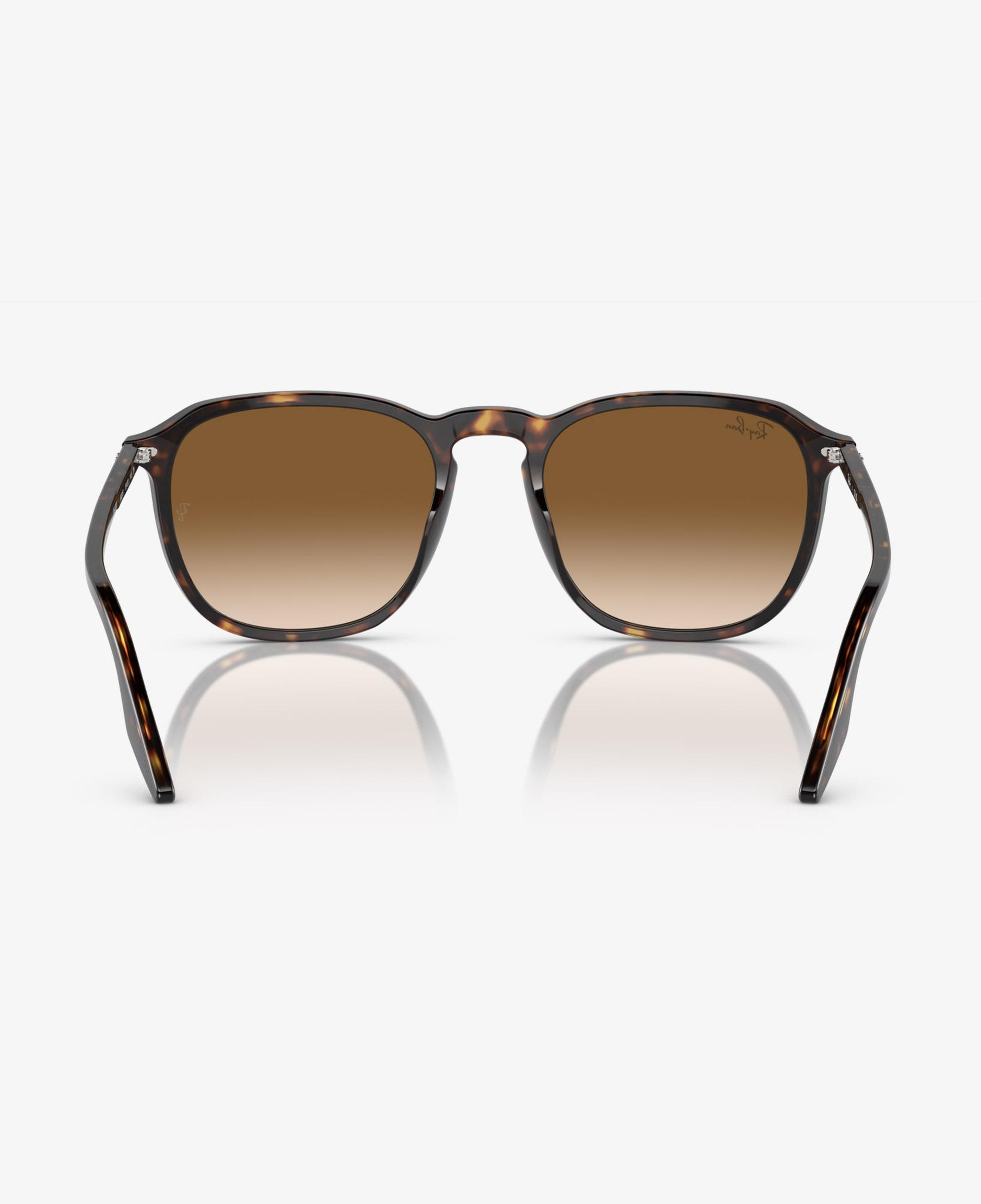 Ray-Ban Acetate Unisex Kahverengi Güneş Gözlüğü