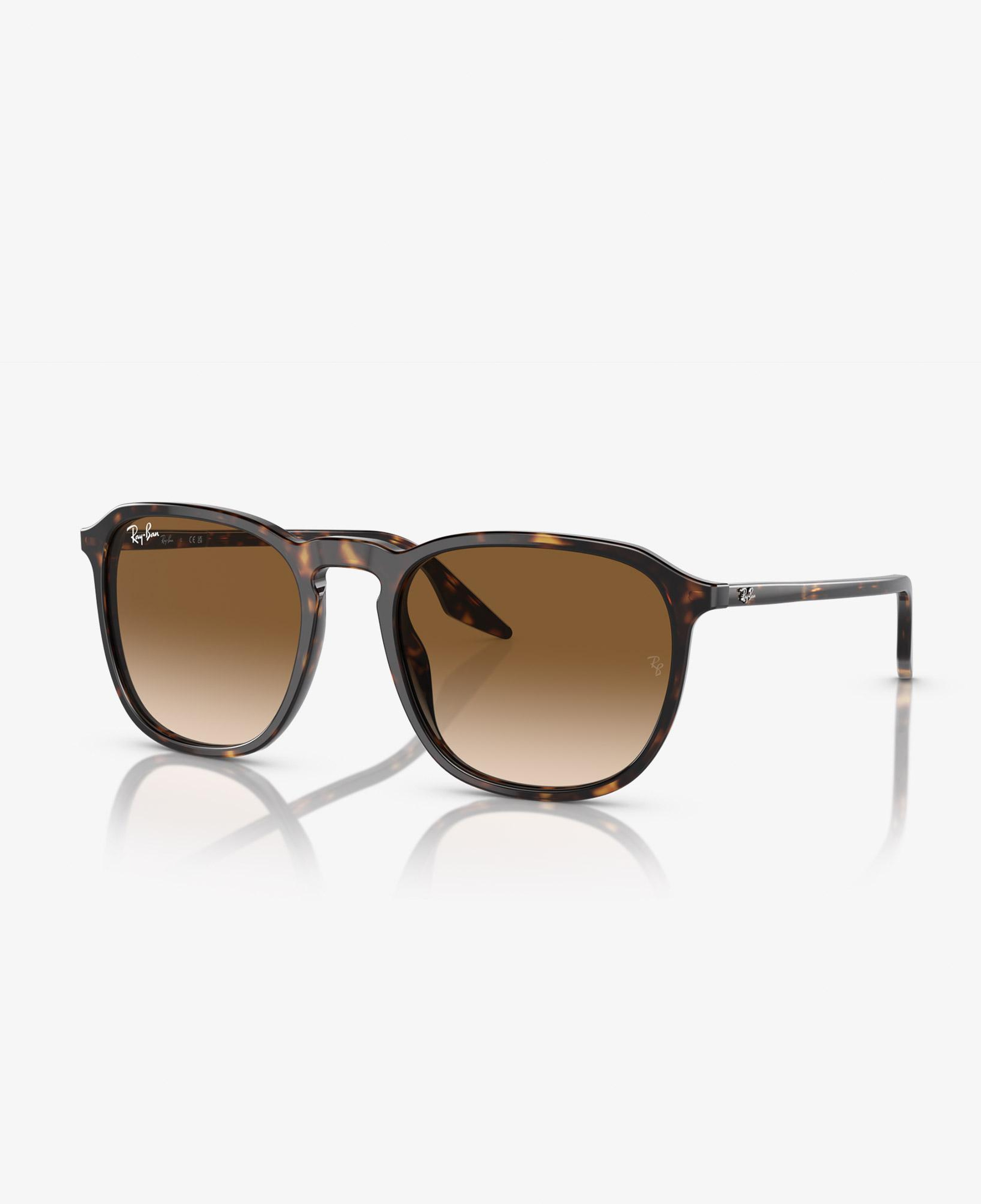 Ray-Ban Acetate Unisex Kahverengi Güneş Gözlüğü