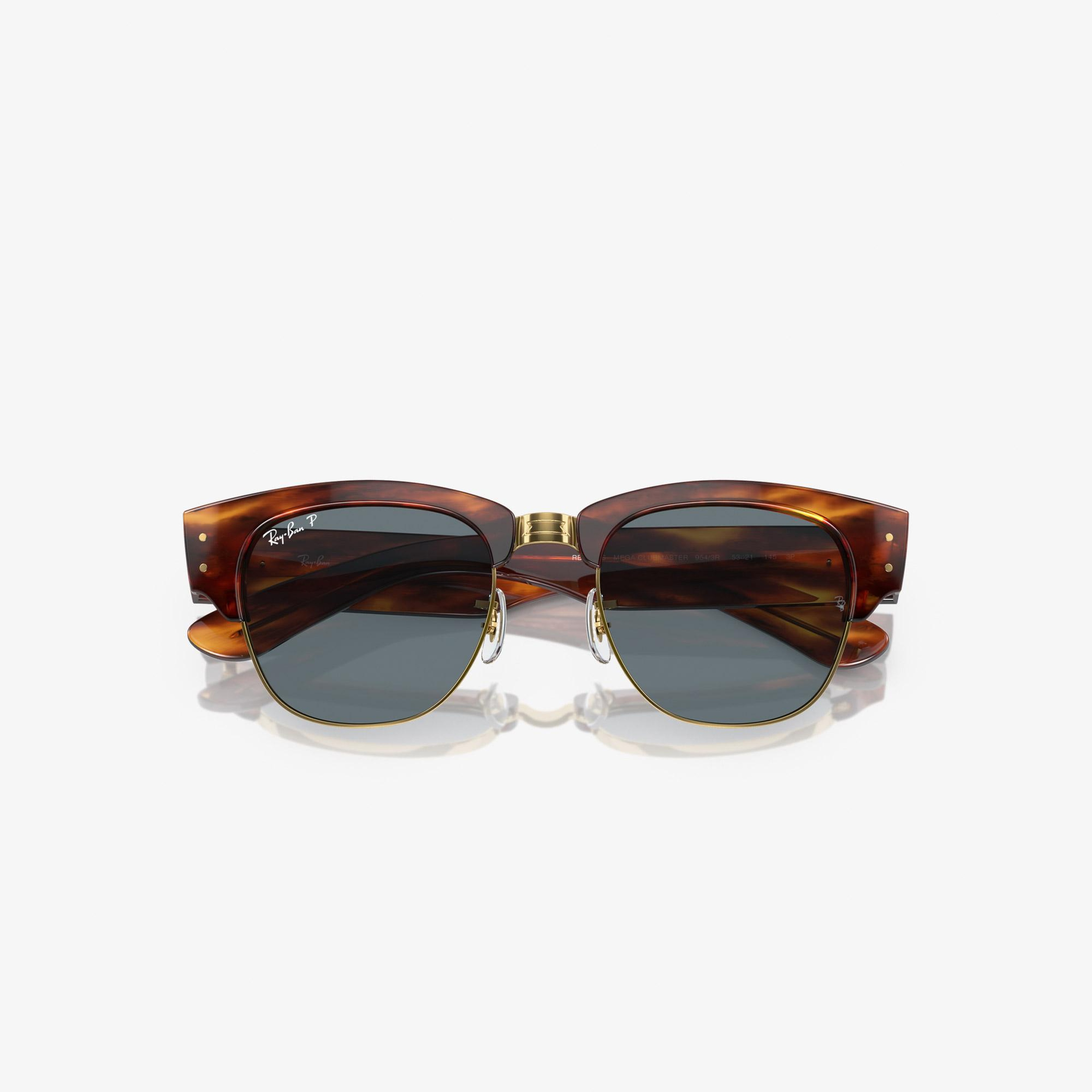Ray-Ban Propionate Unisex Kahverengi Güneş Gözlüğü