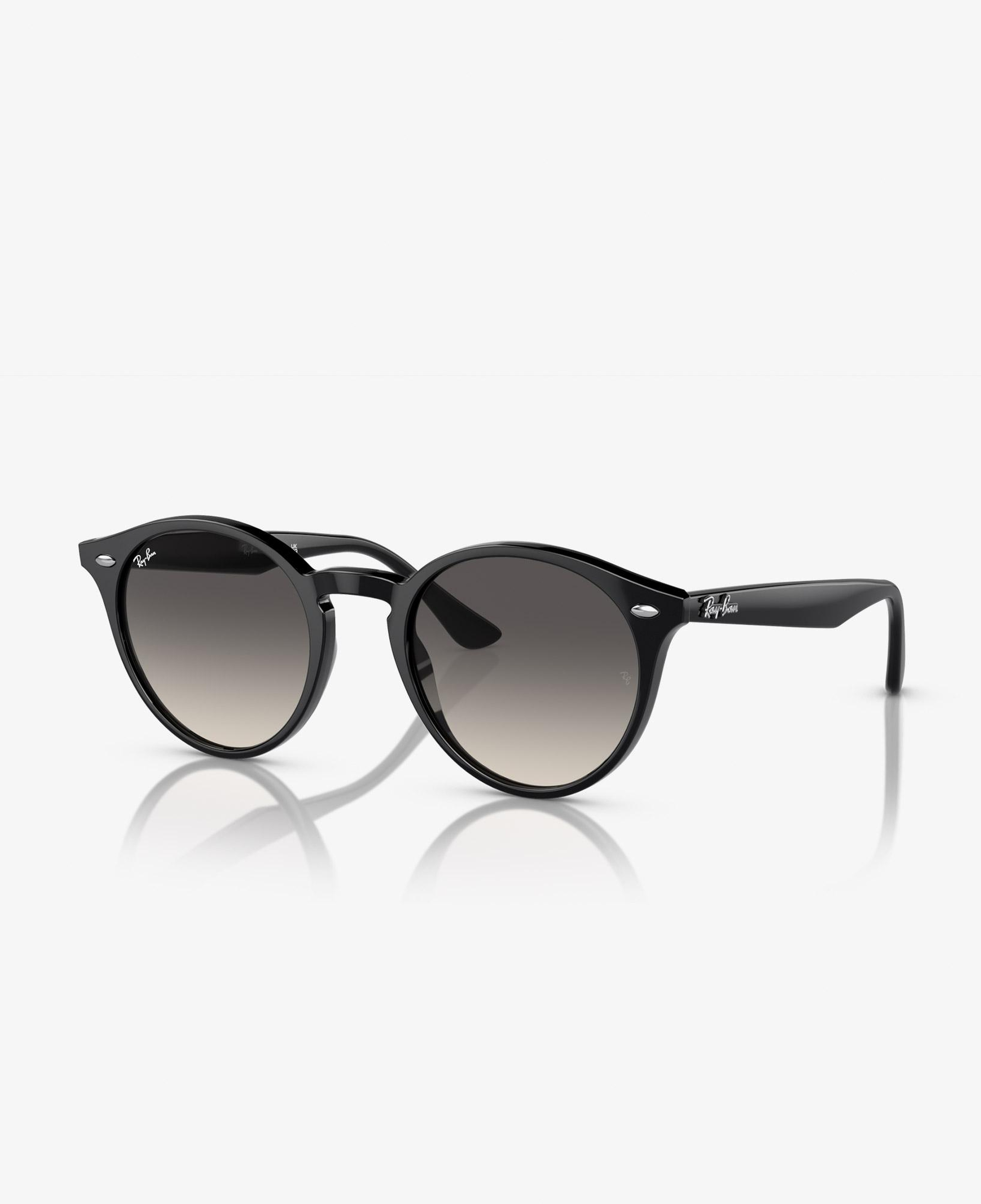 Ray-Ban Propionate Unisex Siyah Güneş Gözlüğü