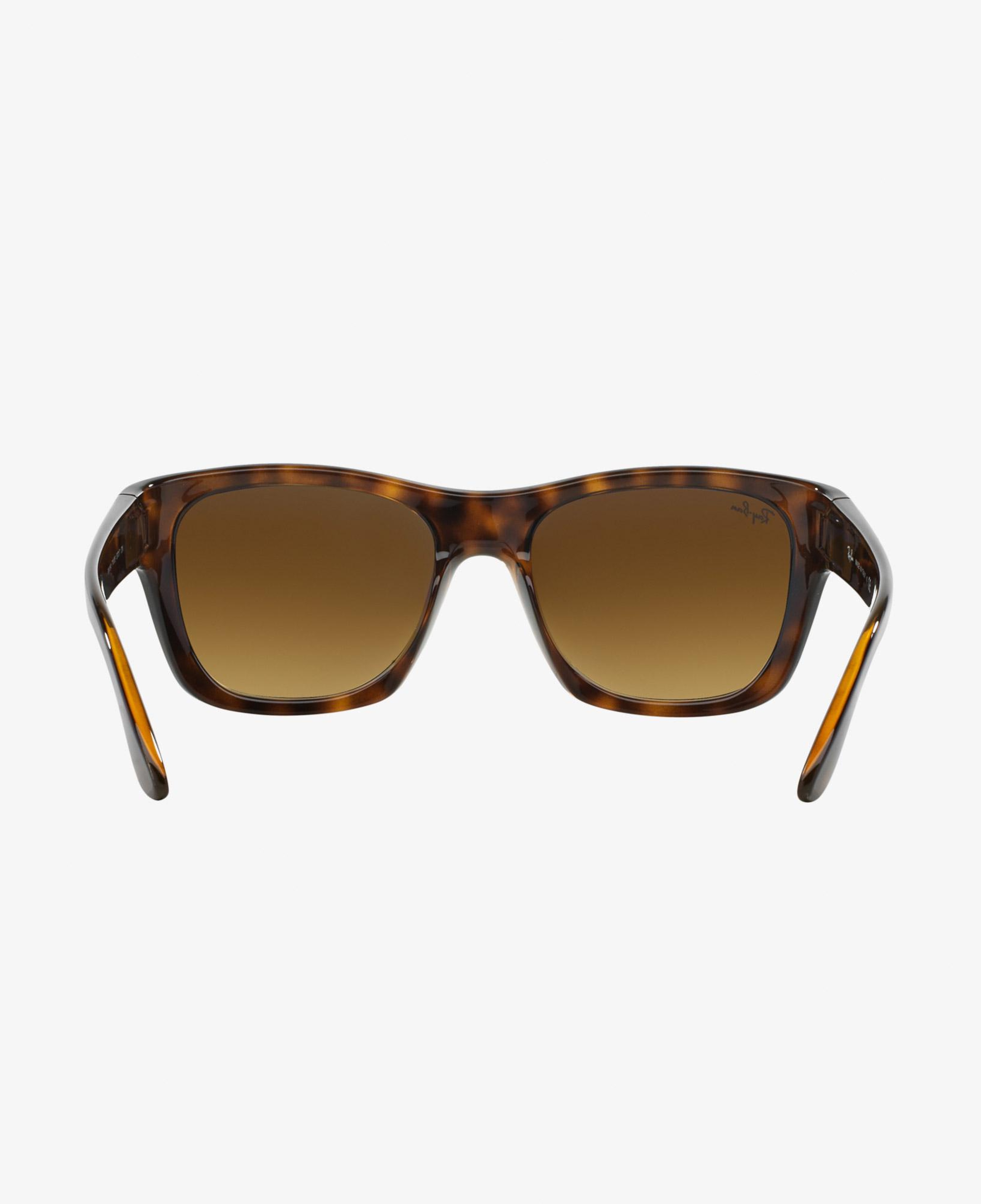 Ray-Ban RB4194 Kadın Kahverengi Güneş Gözlüğü