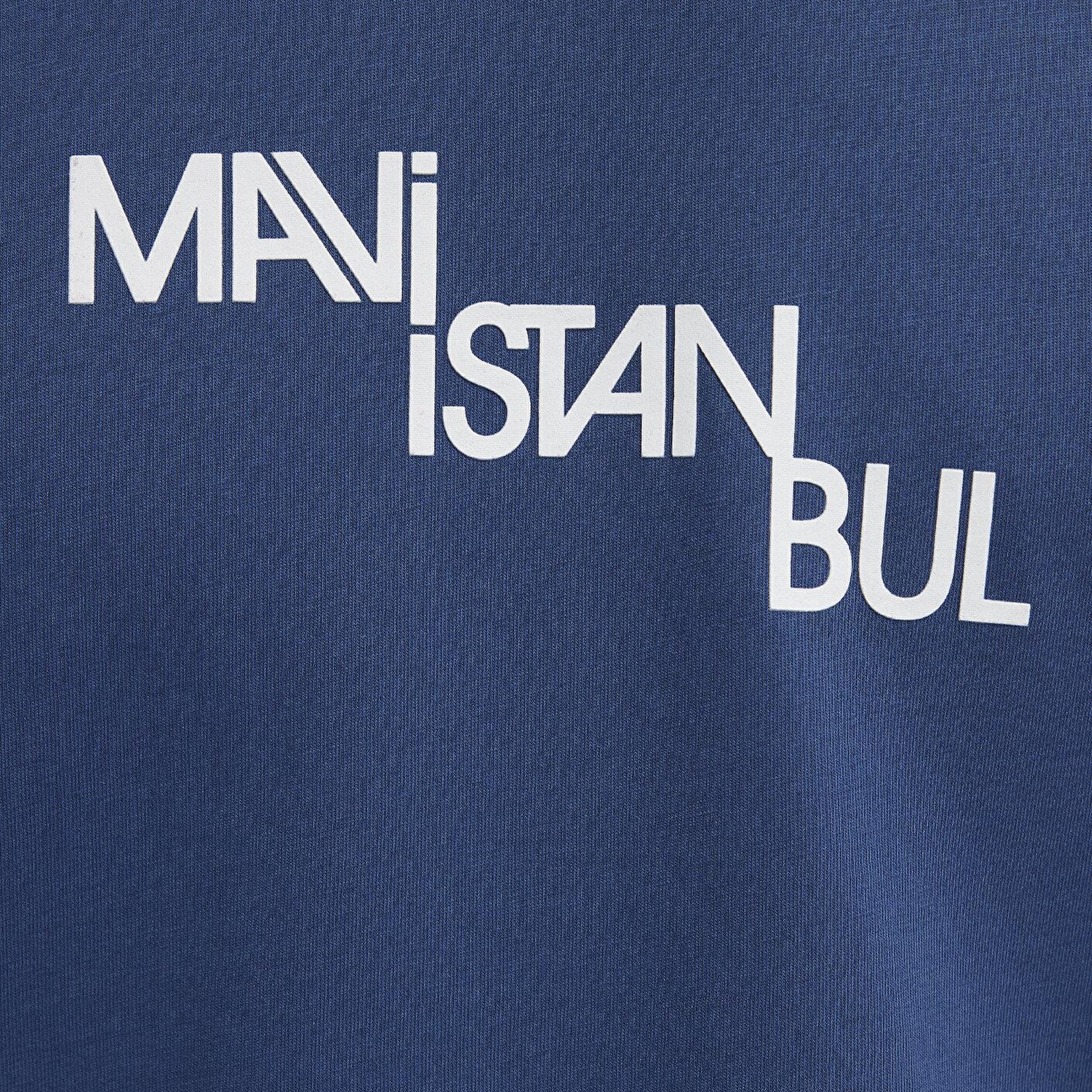 Mavi İstanbul Baskılı Mavi Tişört Regular Fit / Normal Kesim 0612274-70718