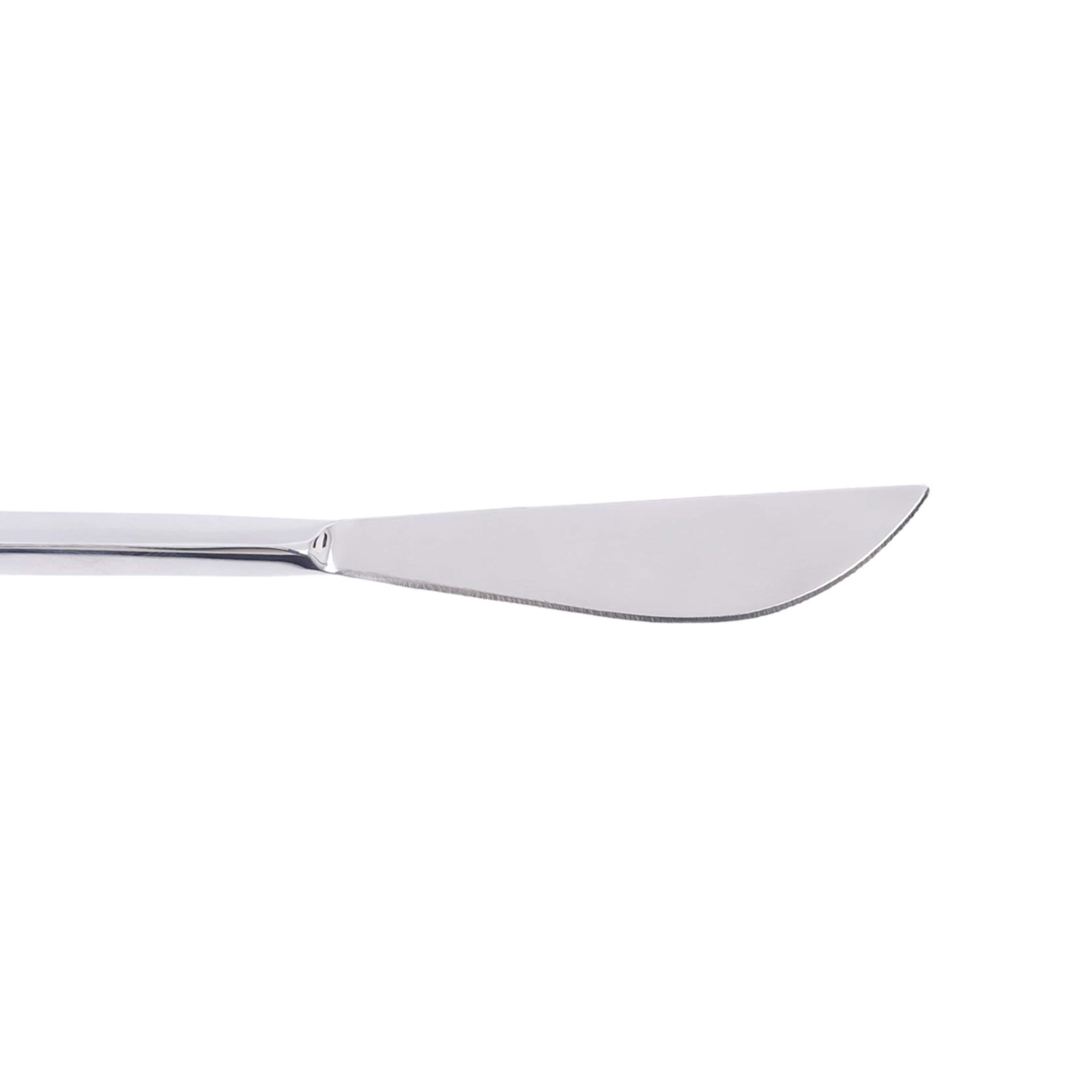 YARGICI Yemek Bıçağı(23 cm)