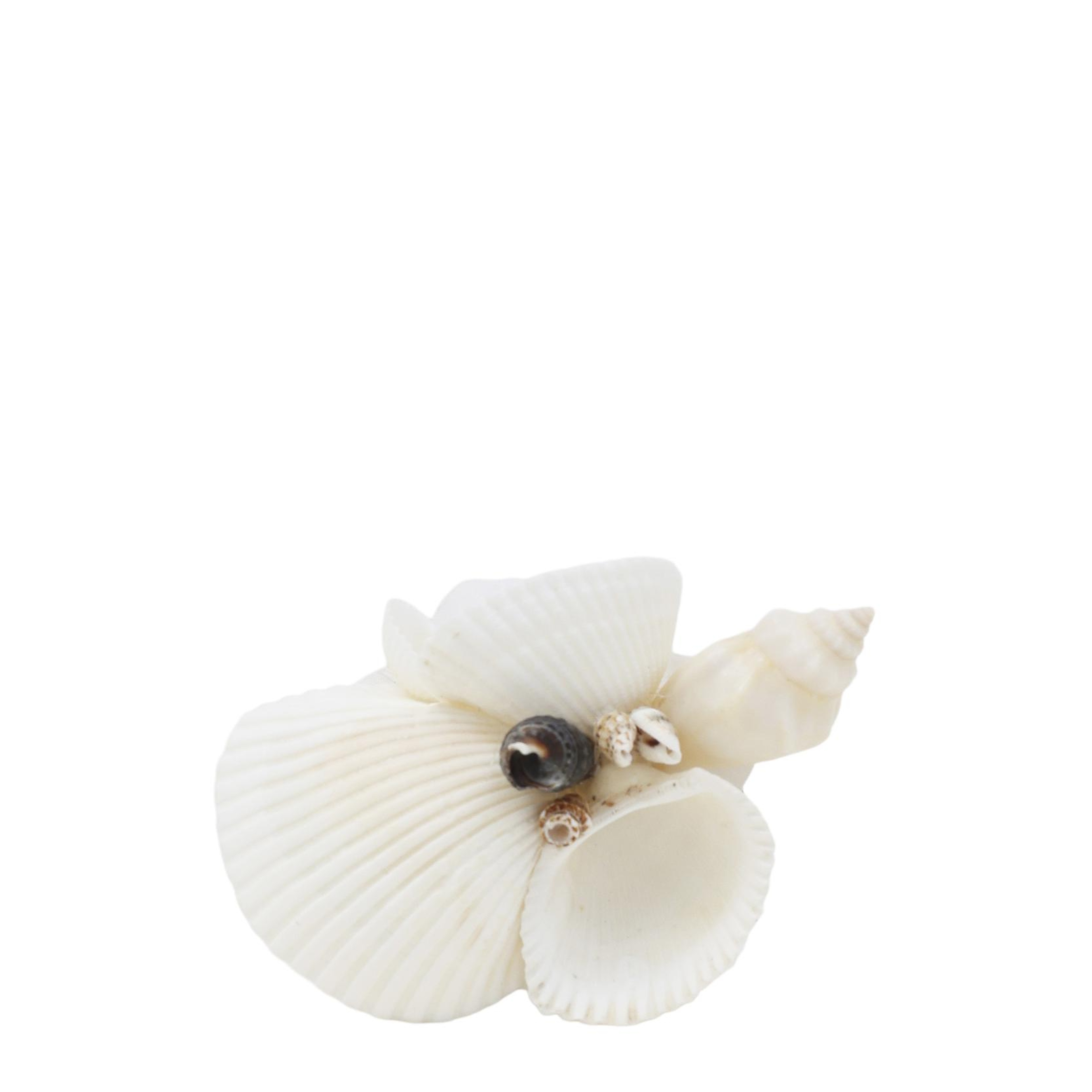 YARGICI Deniz Kabuğu Ve Ahşap Detaylı Peçete Halkası(5x9 Cm)